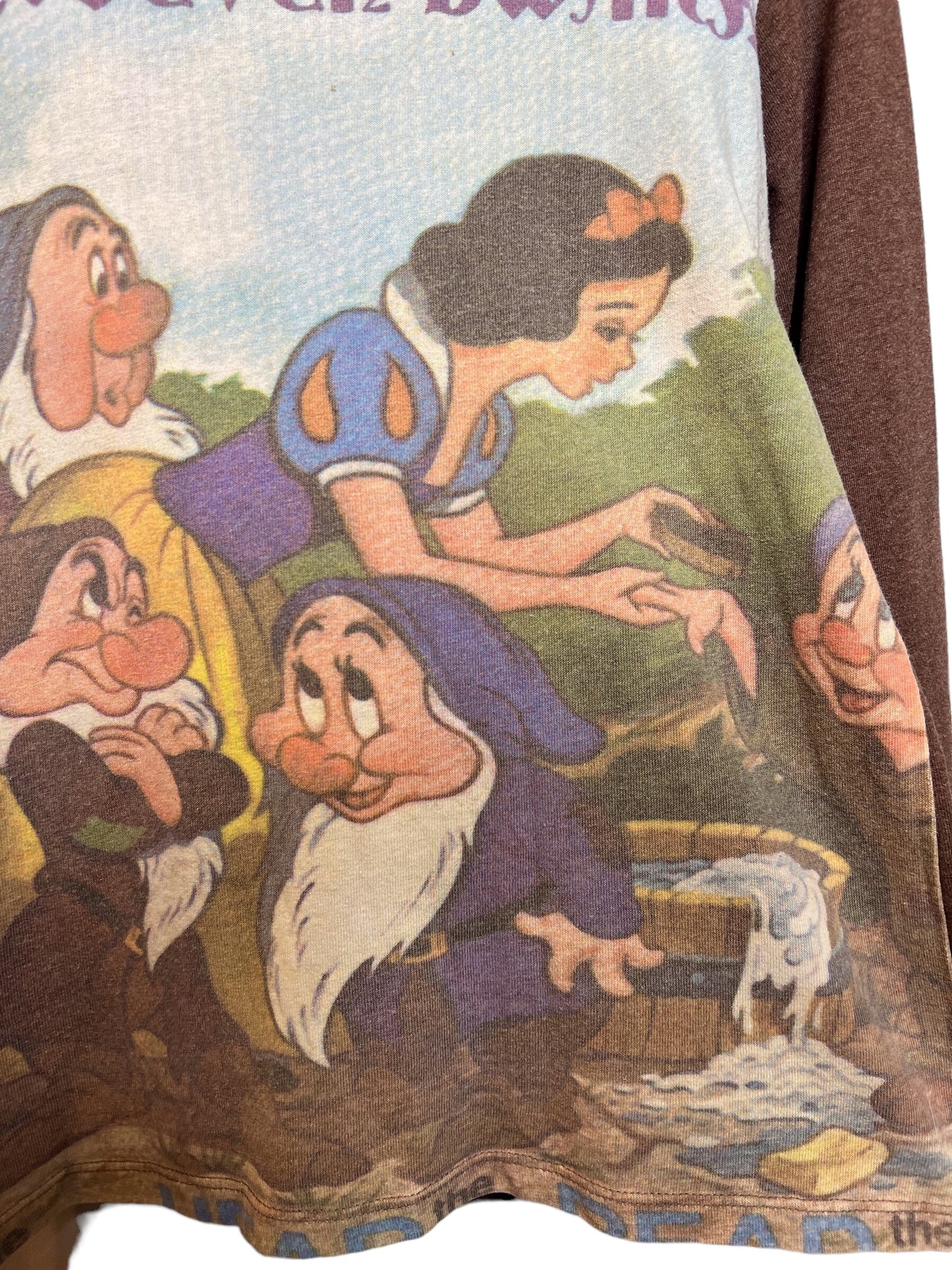 Disney Snow White Women's Sweatshirt (Size M)