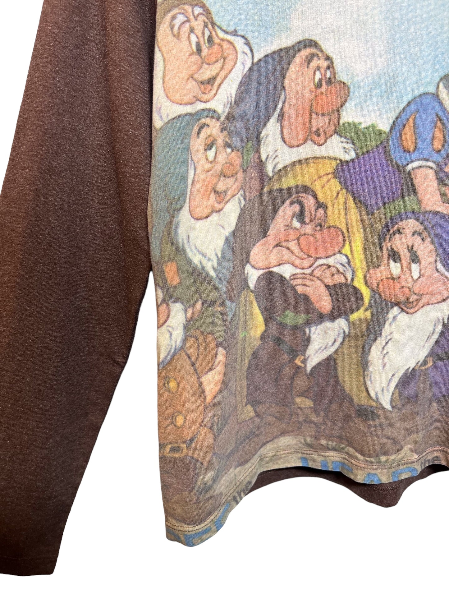 Disney Snow White Women's Sweatshirt (Size M)