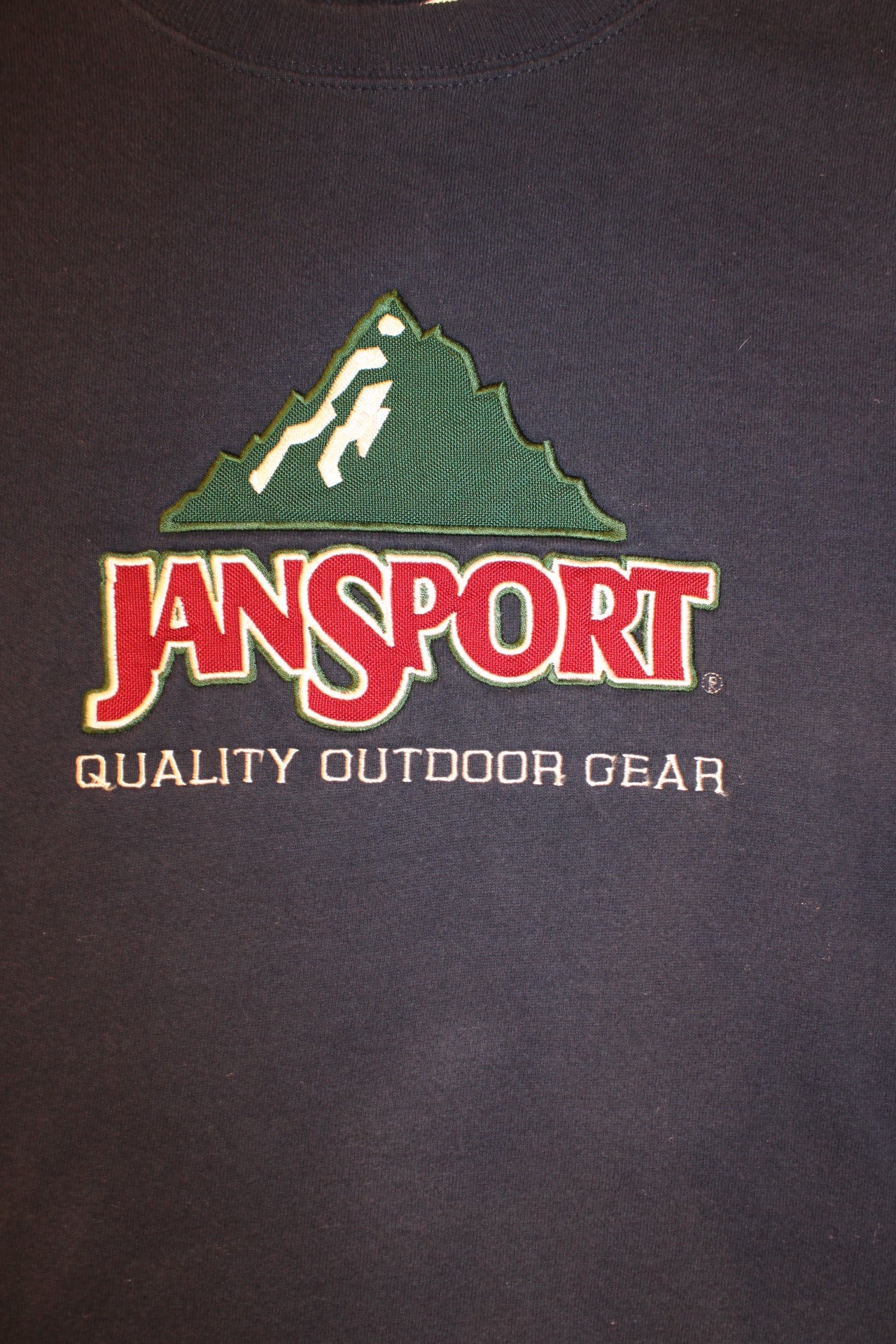 Jansport Mens Navy Sweatshirt (Size L)