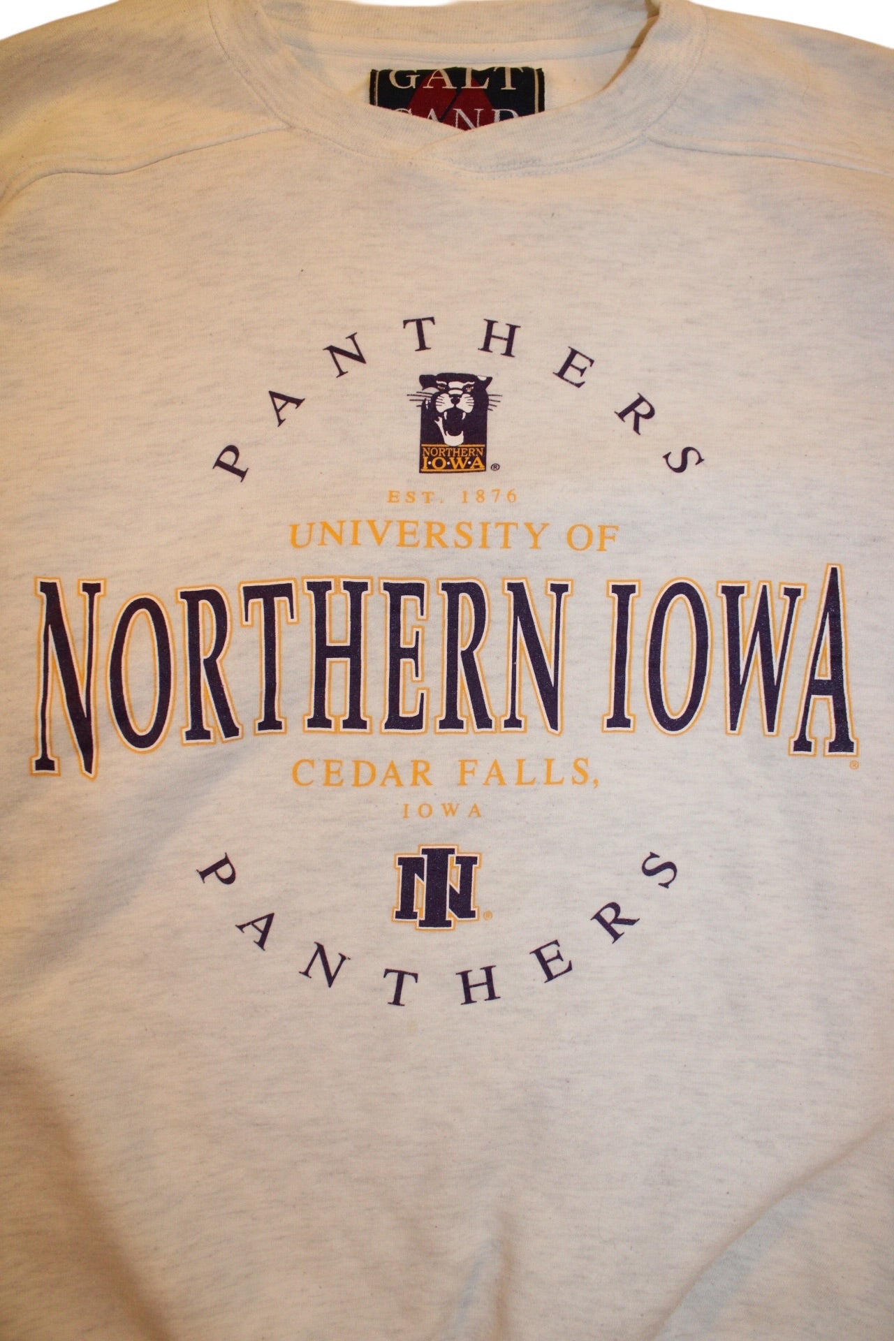 Iowa Panthers Sweatshirt (Size L)