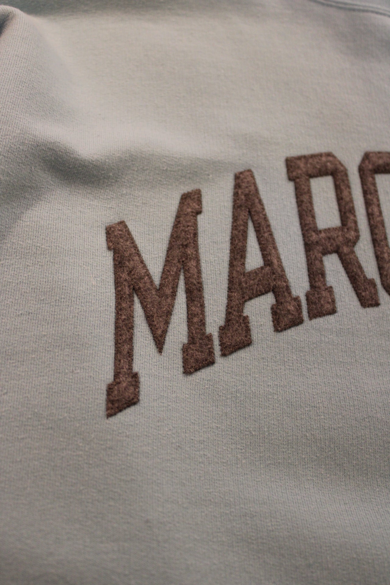 Champion Sweatshirt ( Size L )