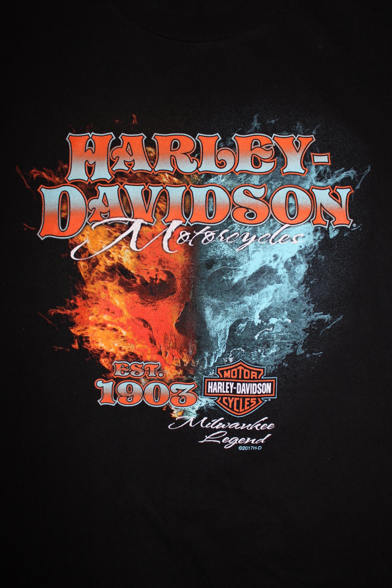 Harley Davidson T Shirt (Size L)