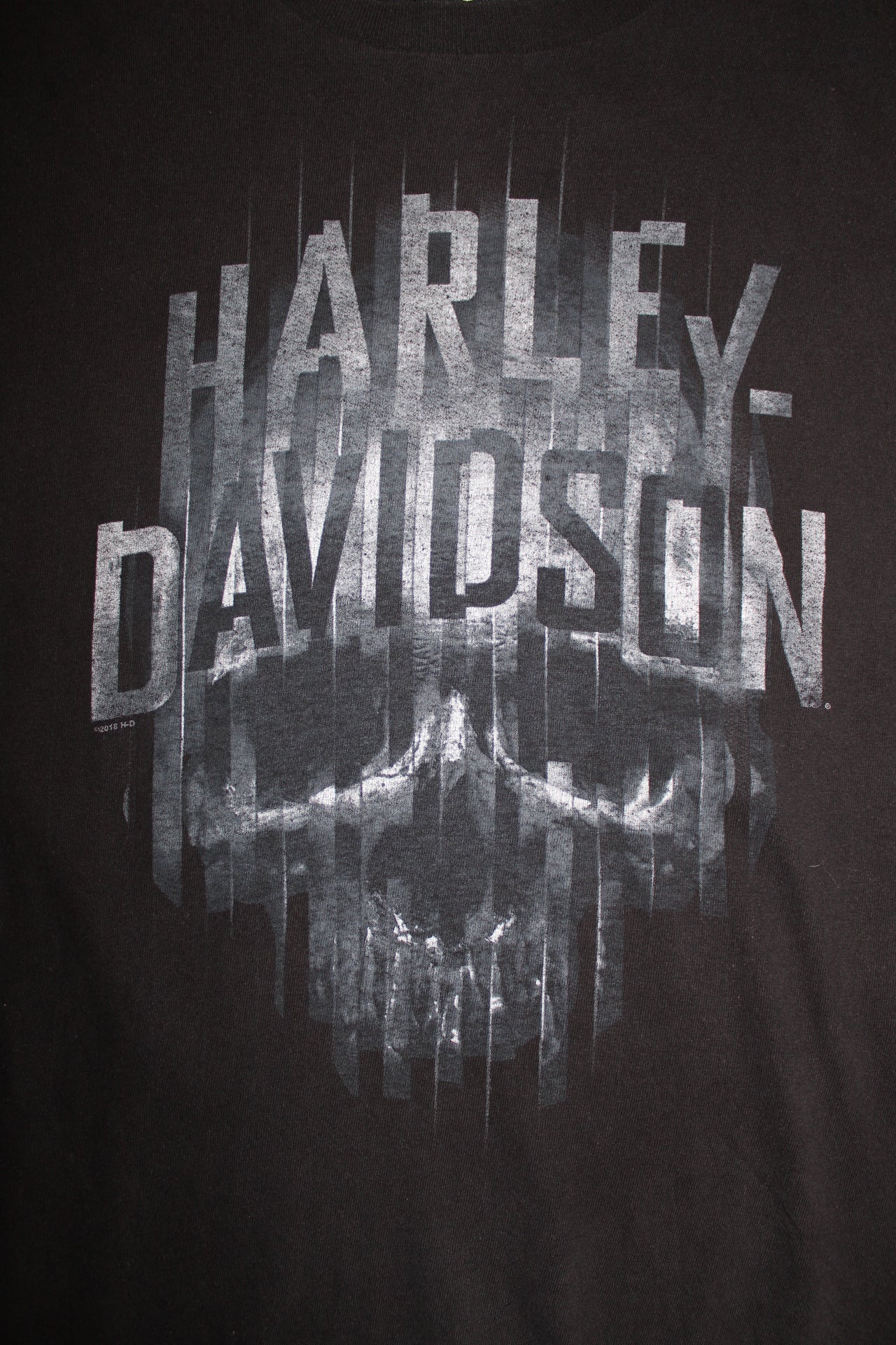 Harley Davidson T Shirt (Size L)