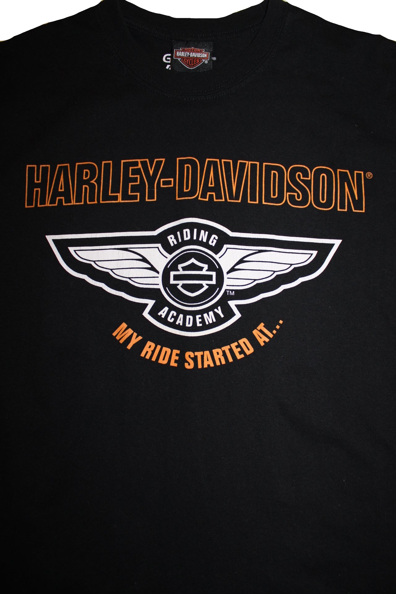 Harley Davidson T Shirt (Size L)