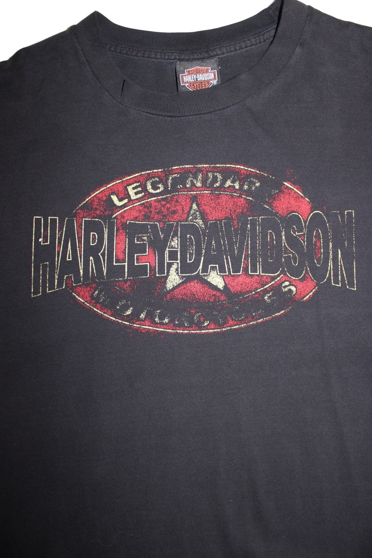 Harley Davidson T Shirt (Size L)