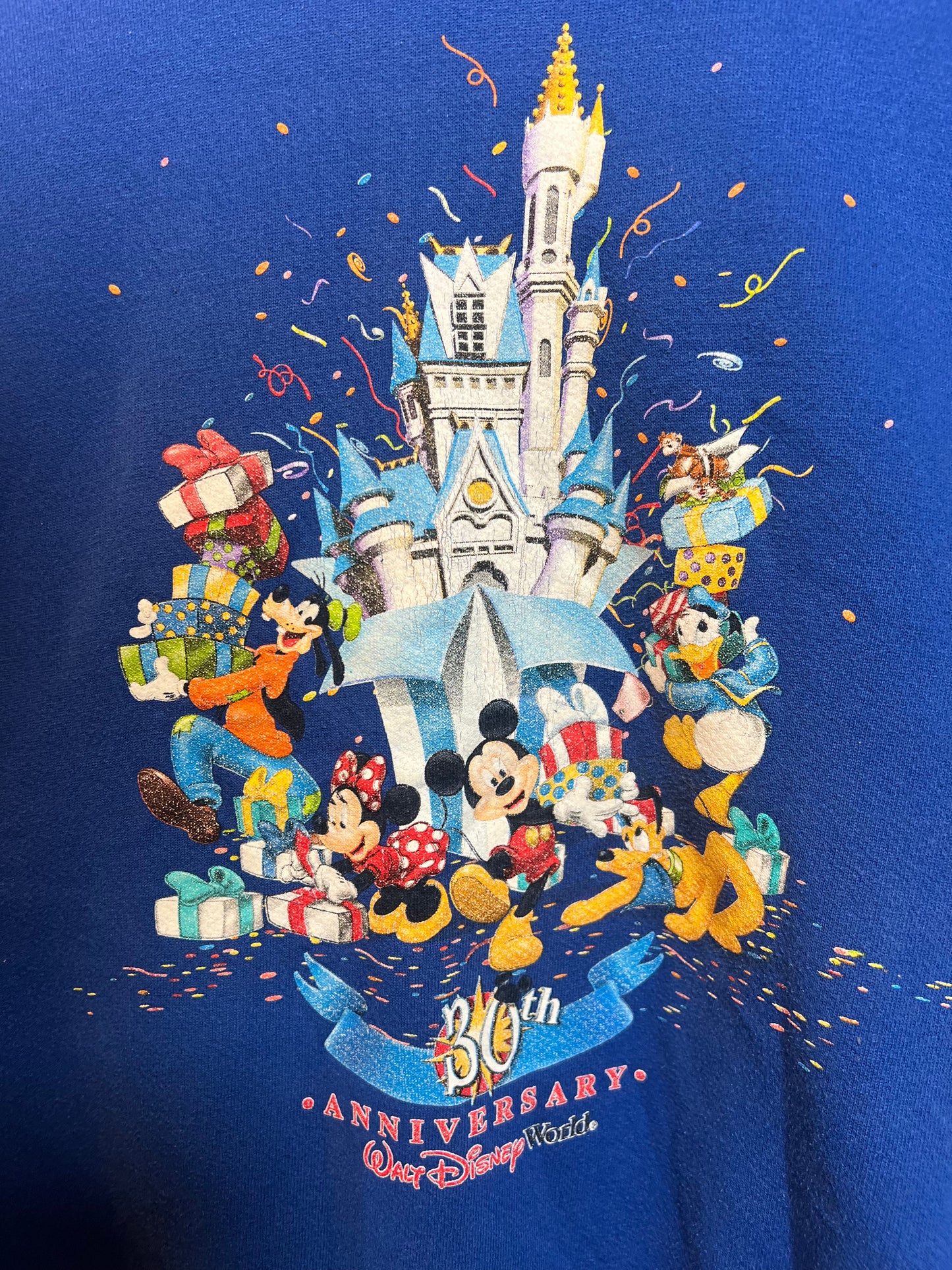 Walt Disney Blue Women's Sweatshirt (Size L)