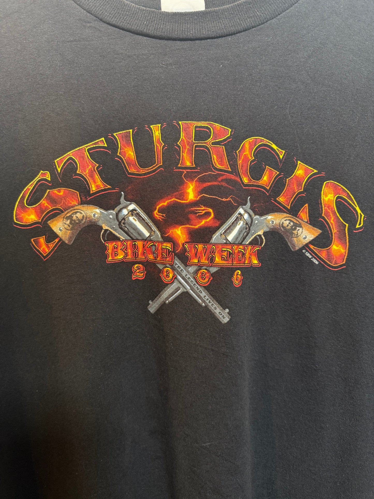Sturgis Mens Black T Shirt (Size L)