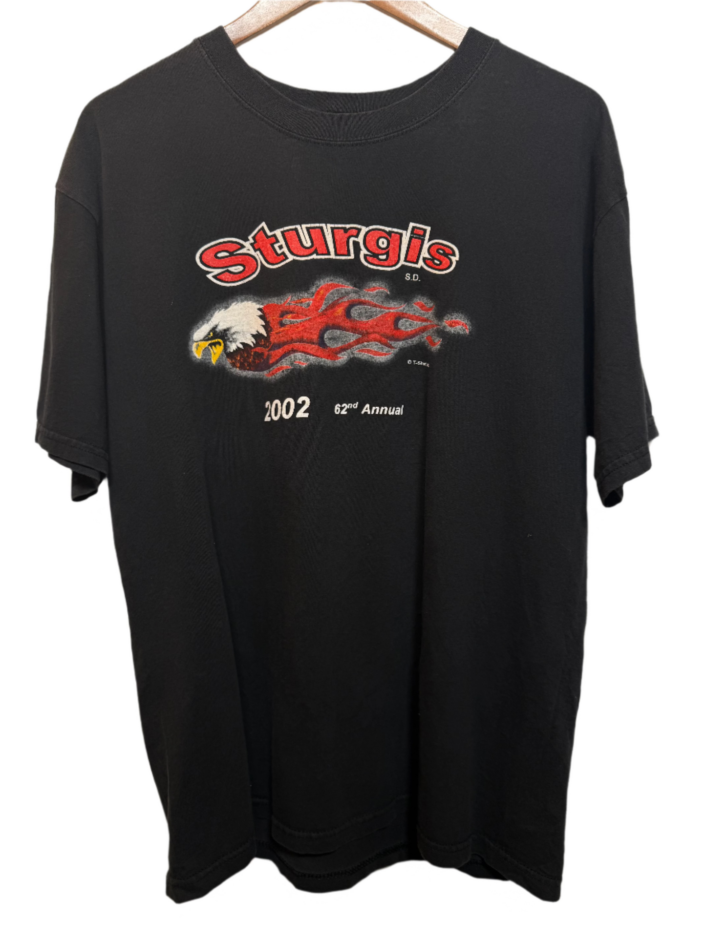 Sturgis Mens Black T Shirt (Size XL)