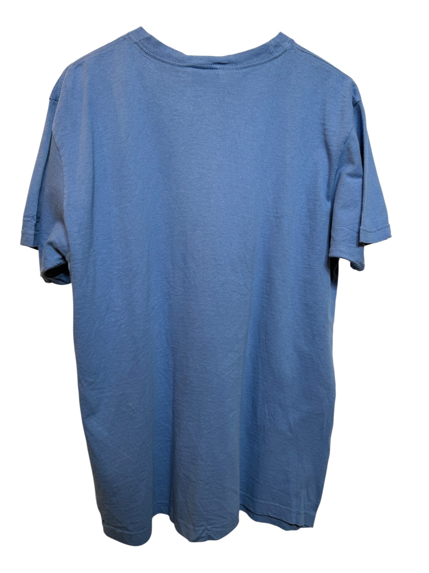 Adidas Blue T Shirt (Size L)