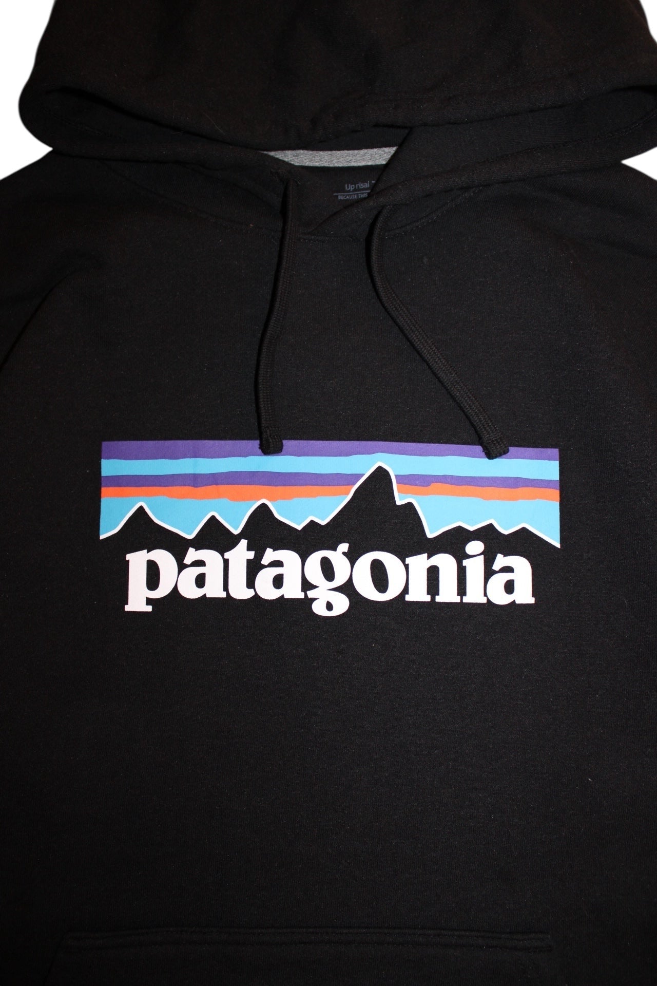 Patagonia Hoodie (Size L)