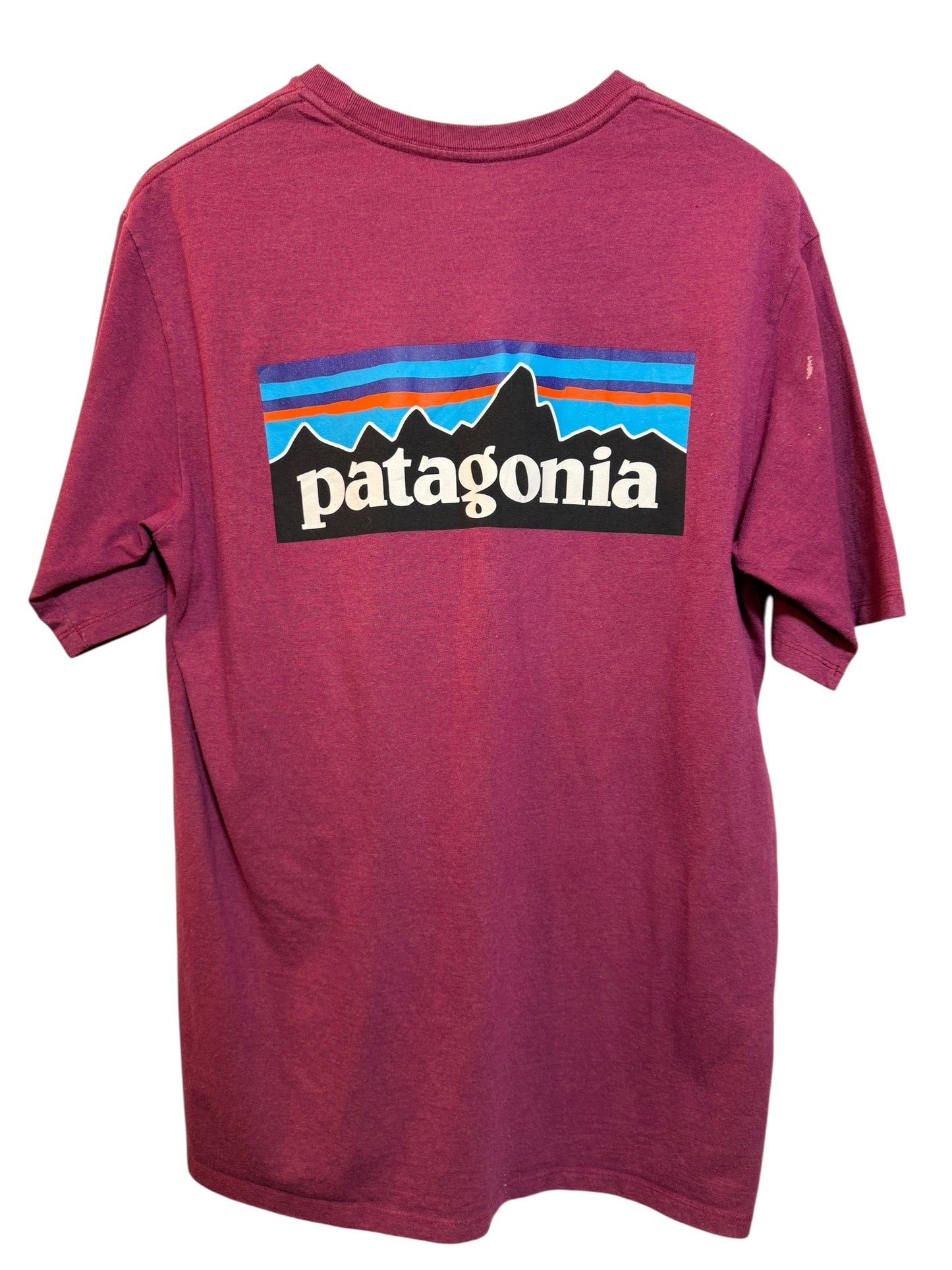 Patagonia Mens Pink T Shirt (Size L)