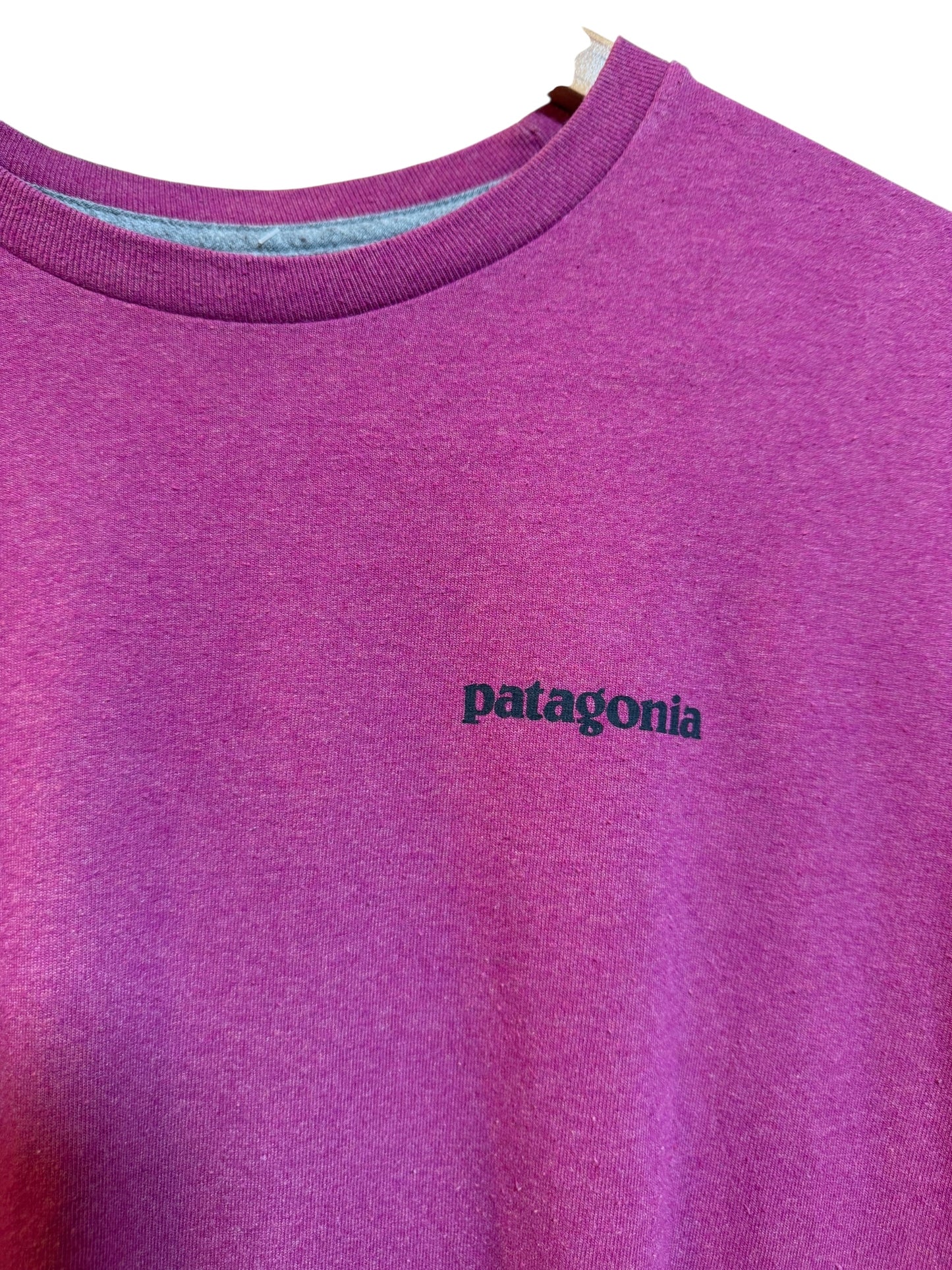 Patagonia Mens Pink T Shirt (Size L)