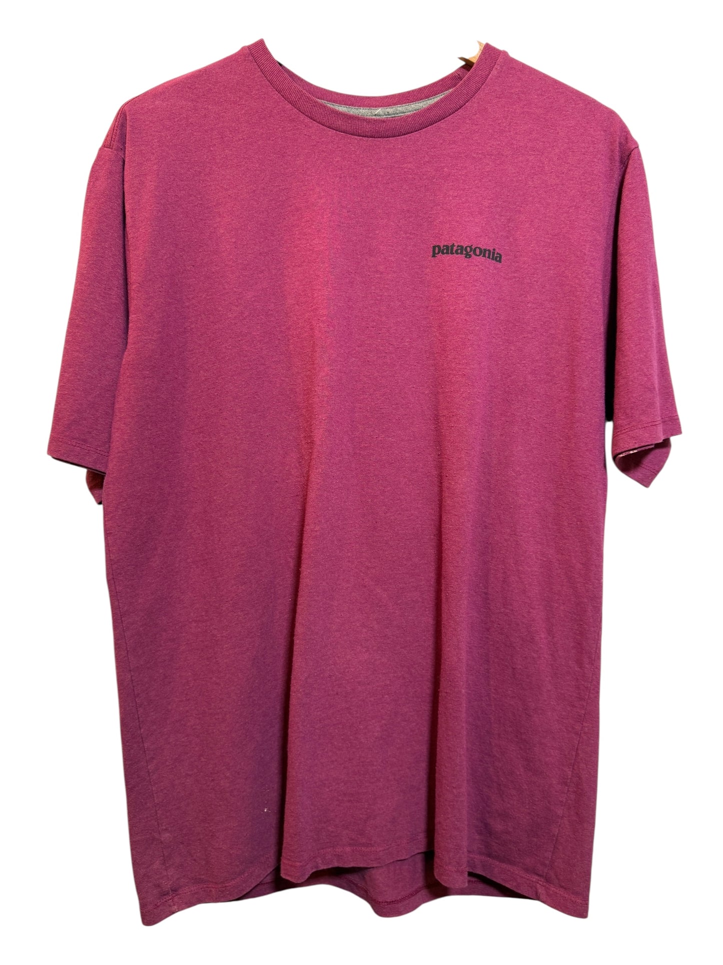 Patagonia Mens Pink T Shirt (Size L)