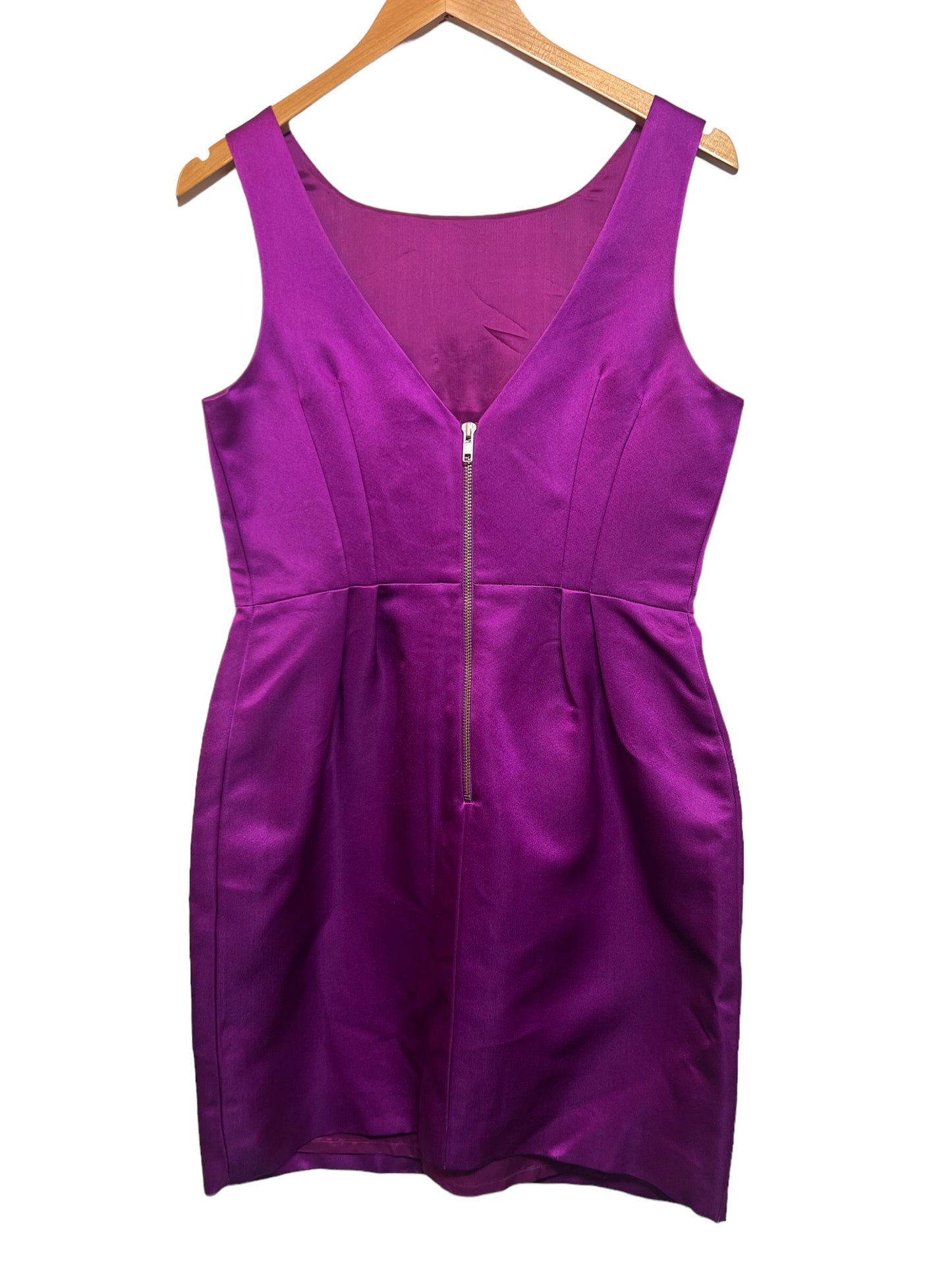 Whistles Purple Dress (Size L)