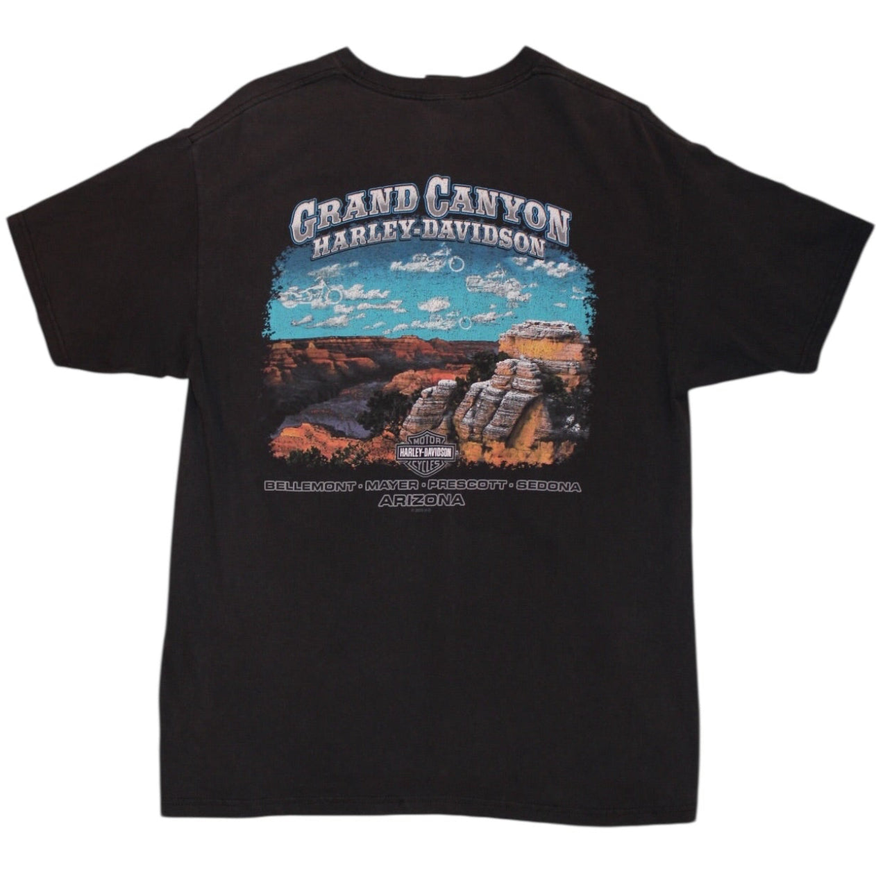 Harley Davidson T Shirt (Size L)