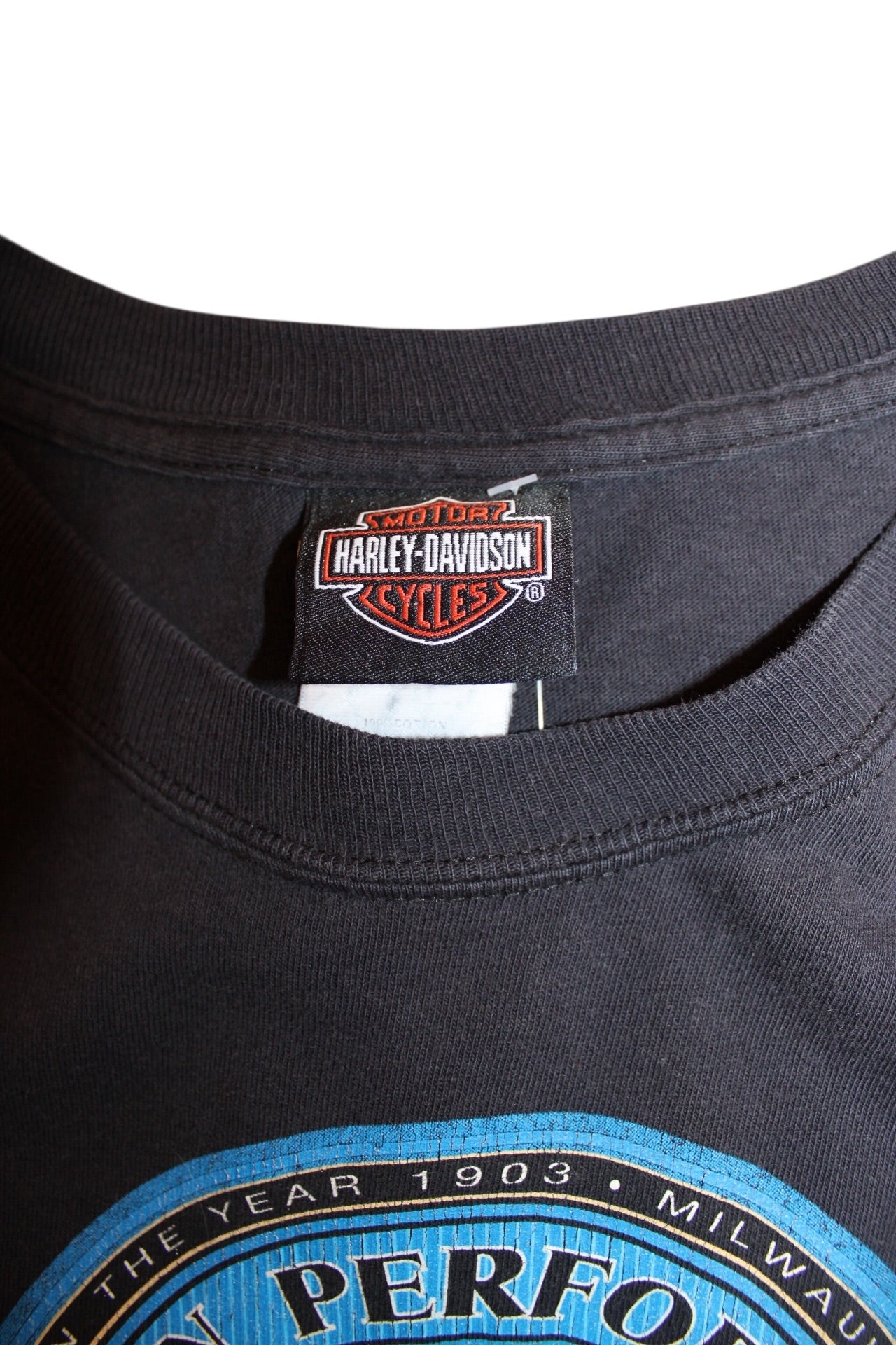 Harley Davidson T Shirt (Size L)