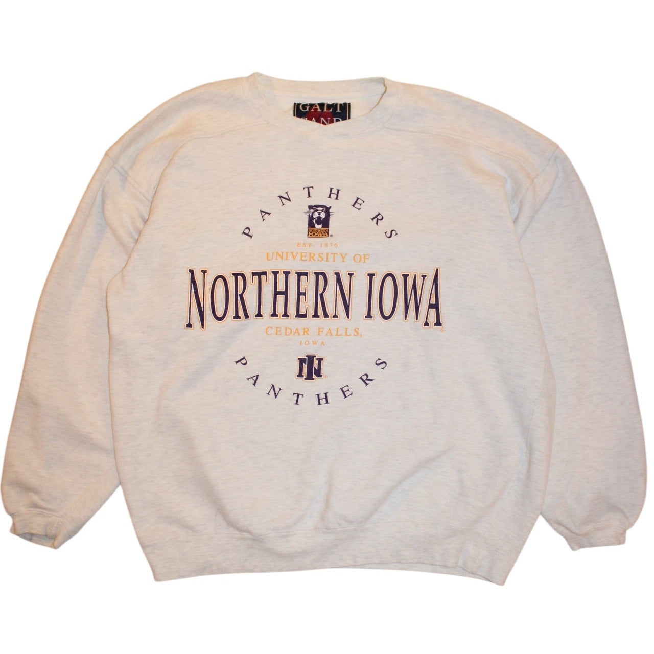 Iowa Panthers Sweatshirt (Size L)