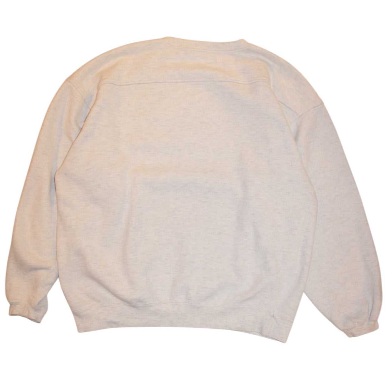 Iowa Panthers Sweatshirt (Size L)