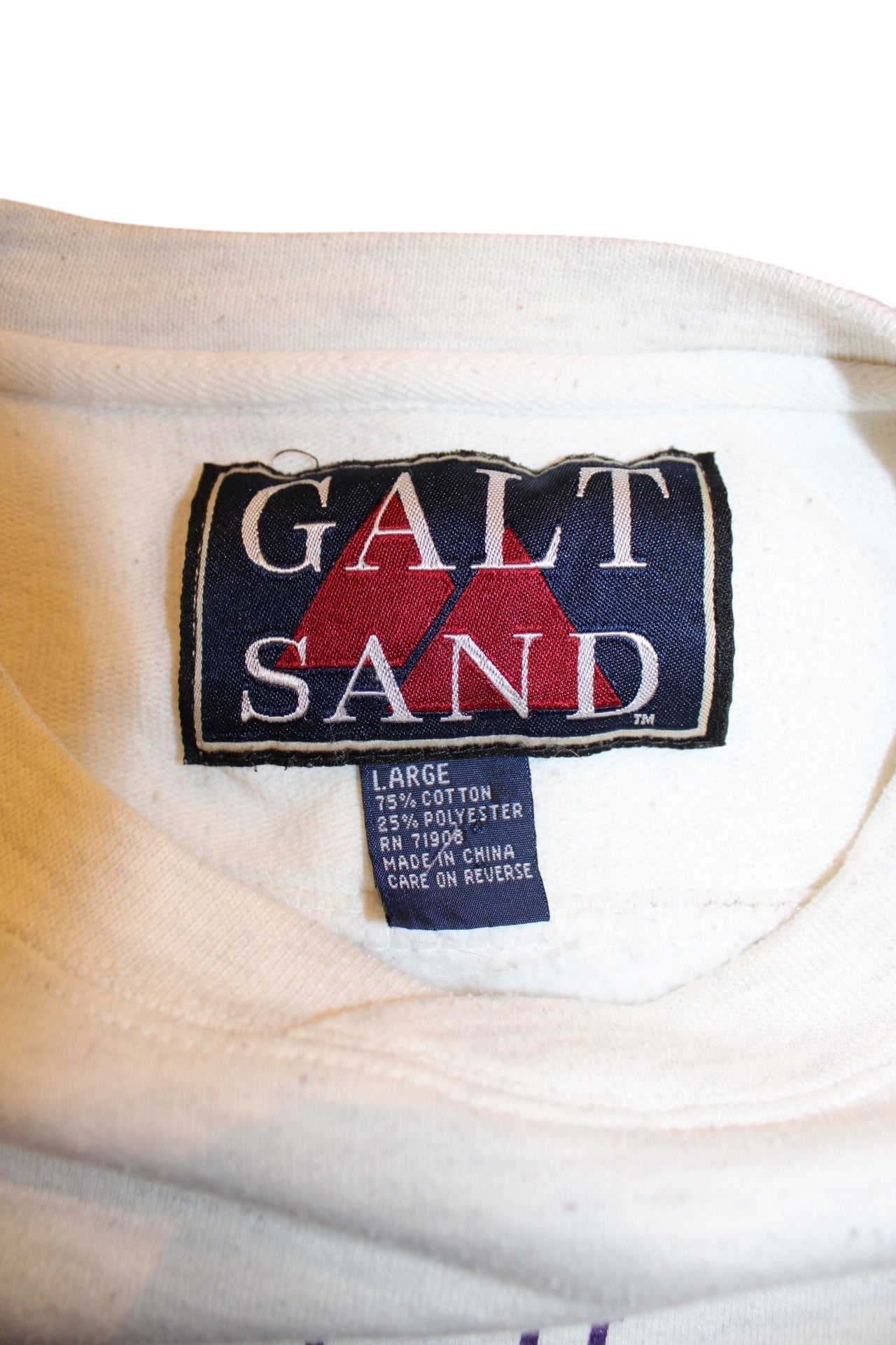 Iowa Panthers Sweatshirt (Size L)