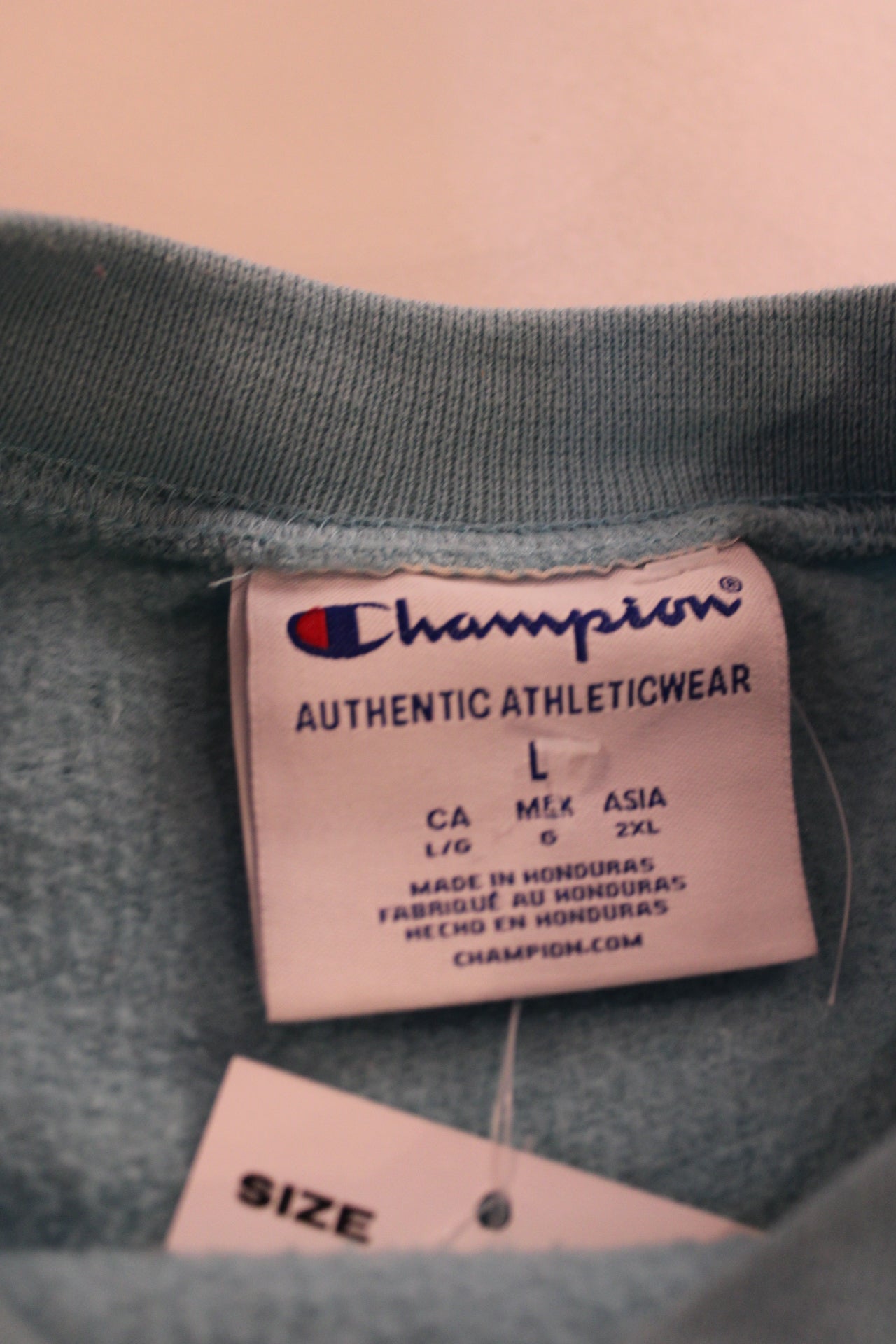 Champion Sweatshirt ( Size L )