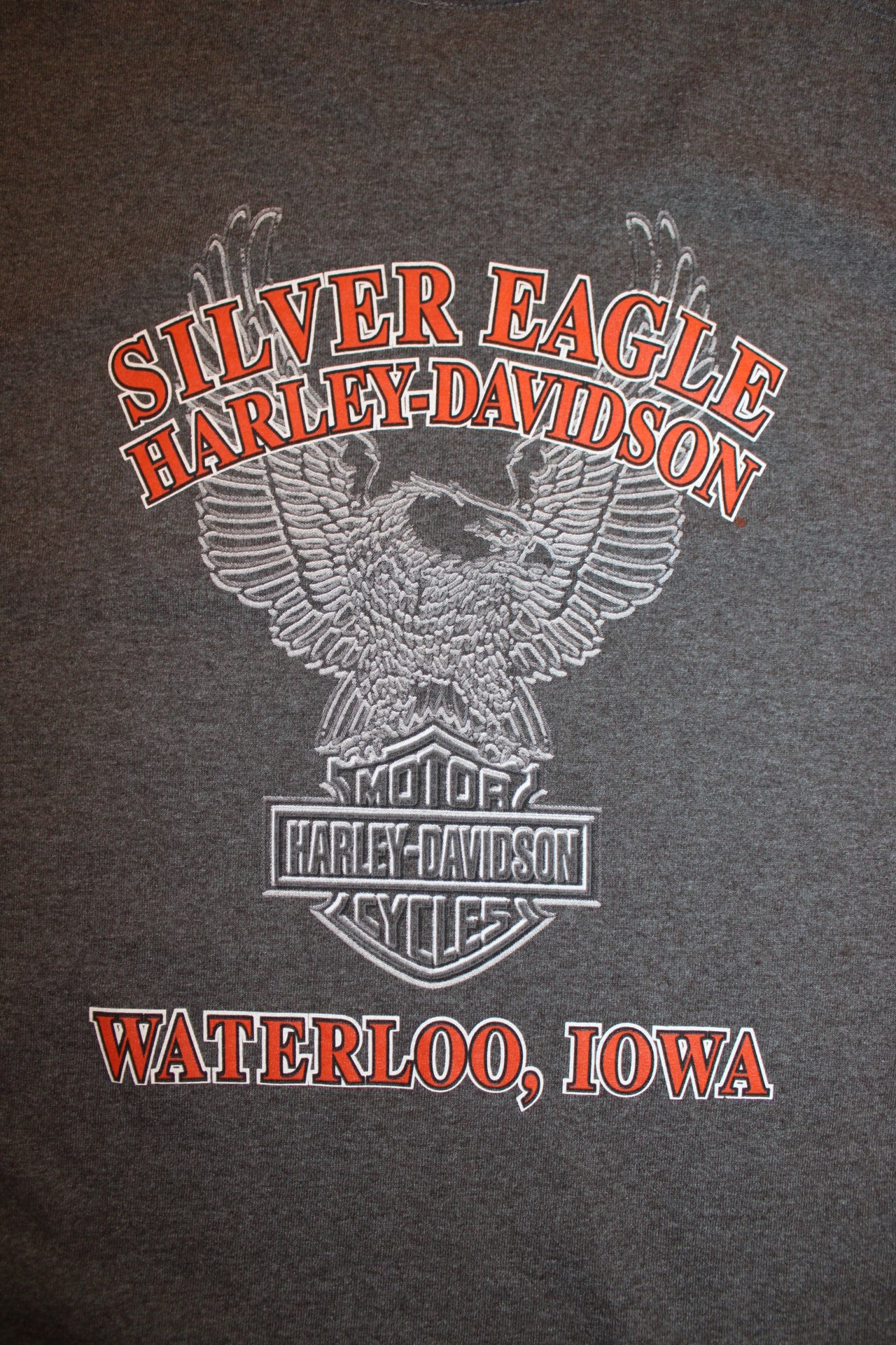 Harley Davidson T Shirt (Size M)