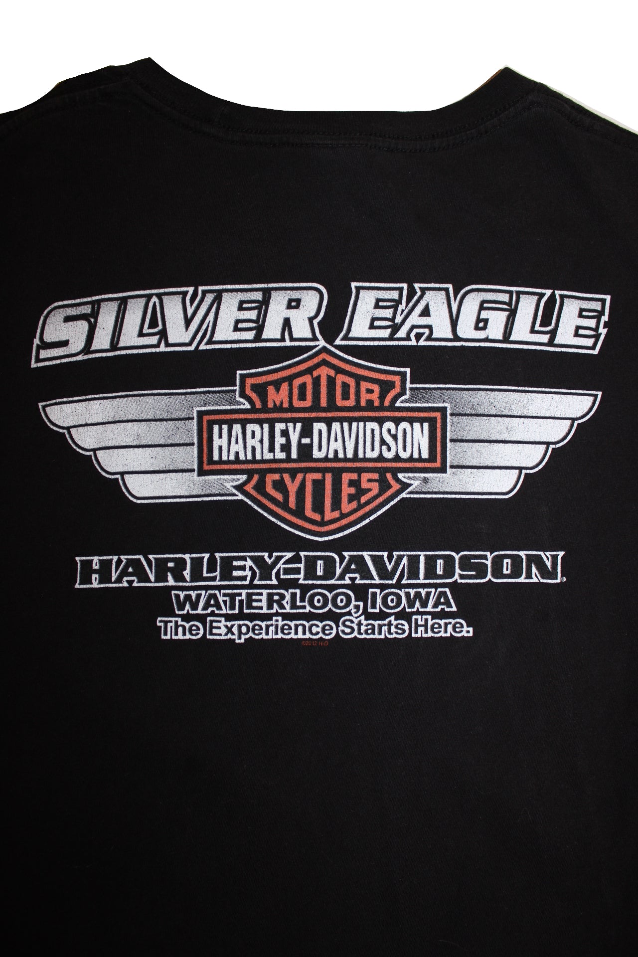 Harley Davidson T Shirt (Size L)