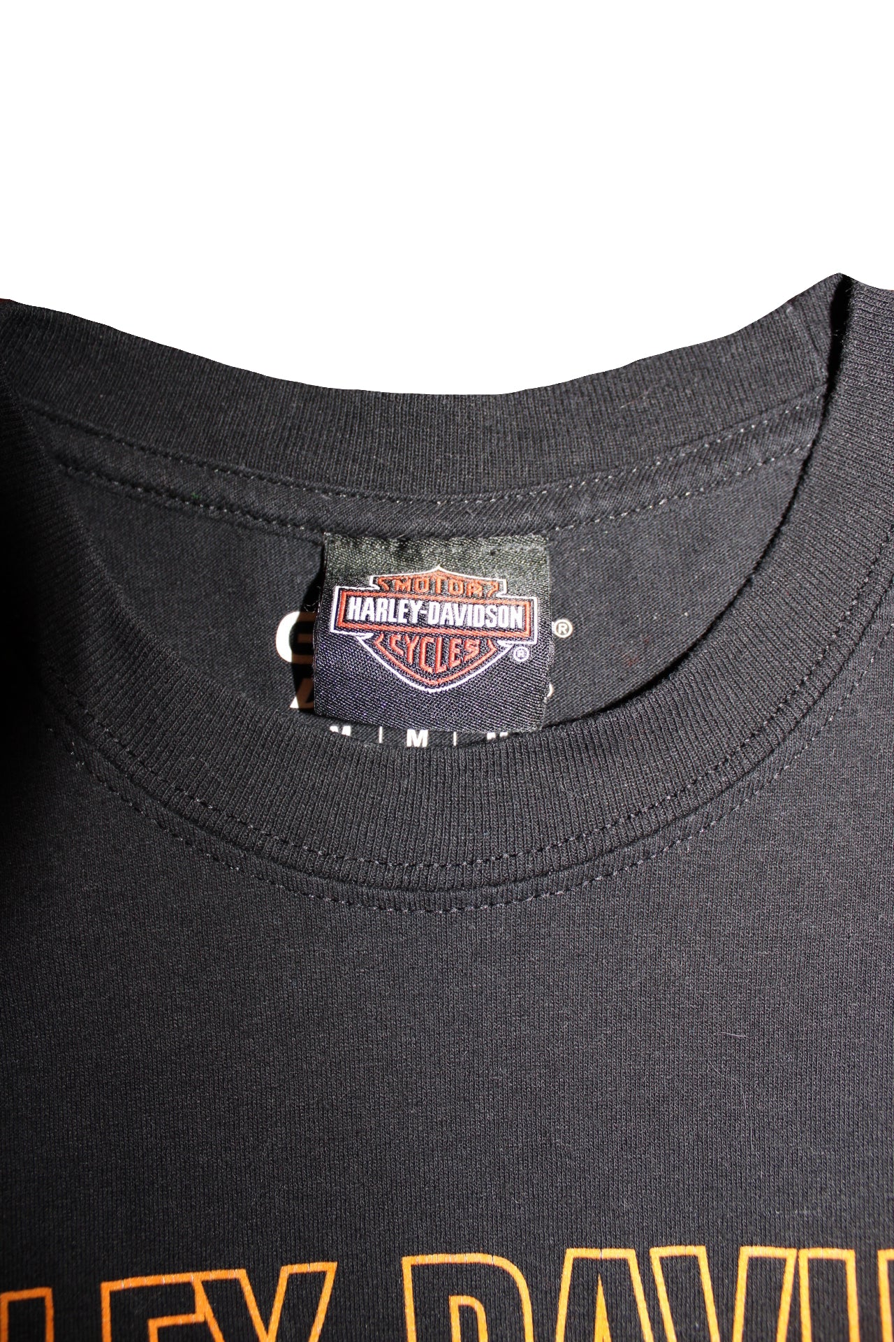 Harley Davidson T Shirt (Size L)