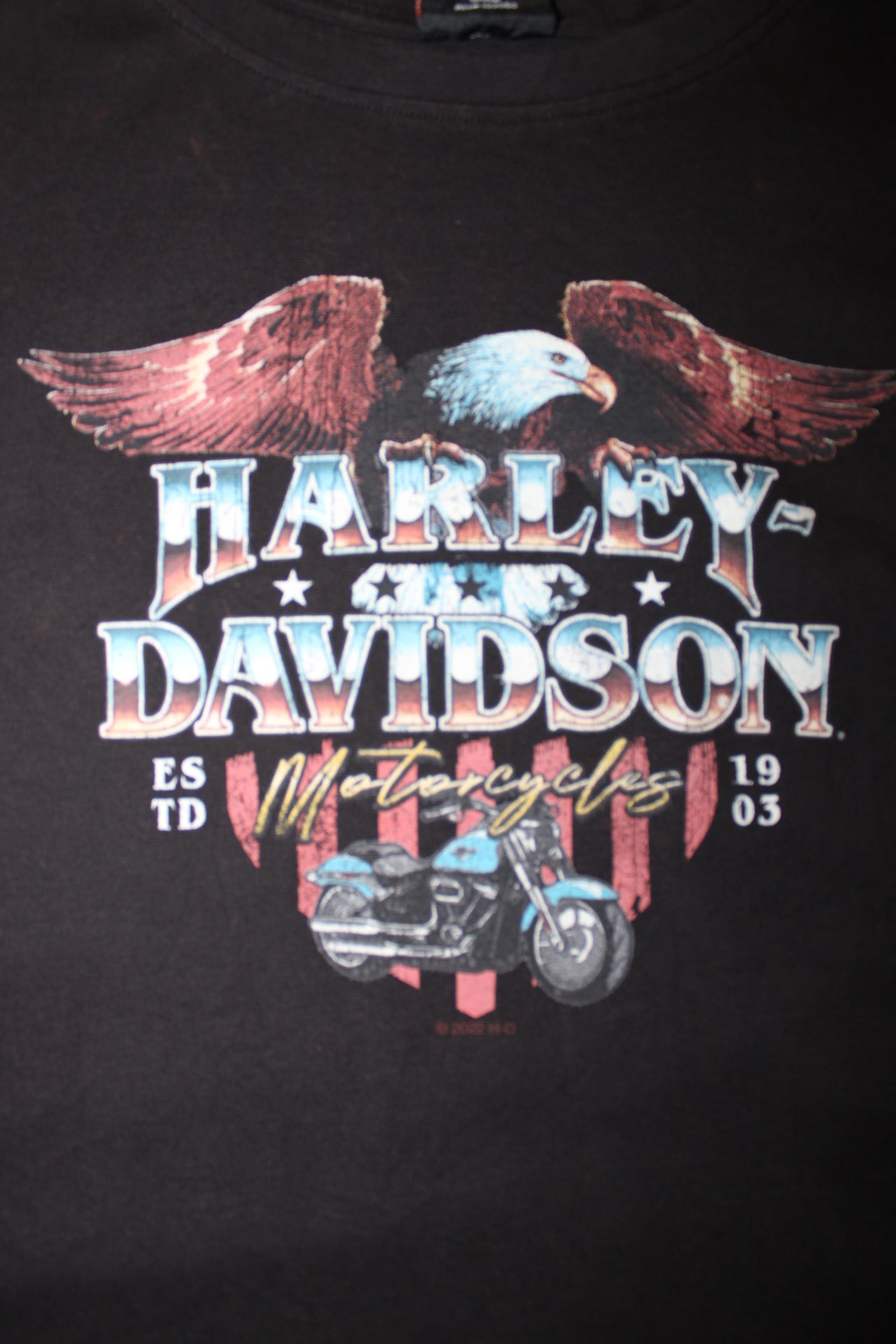 Harley Davidson (Size M)