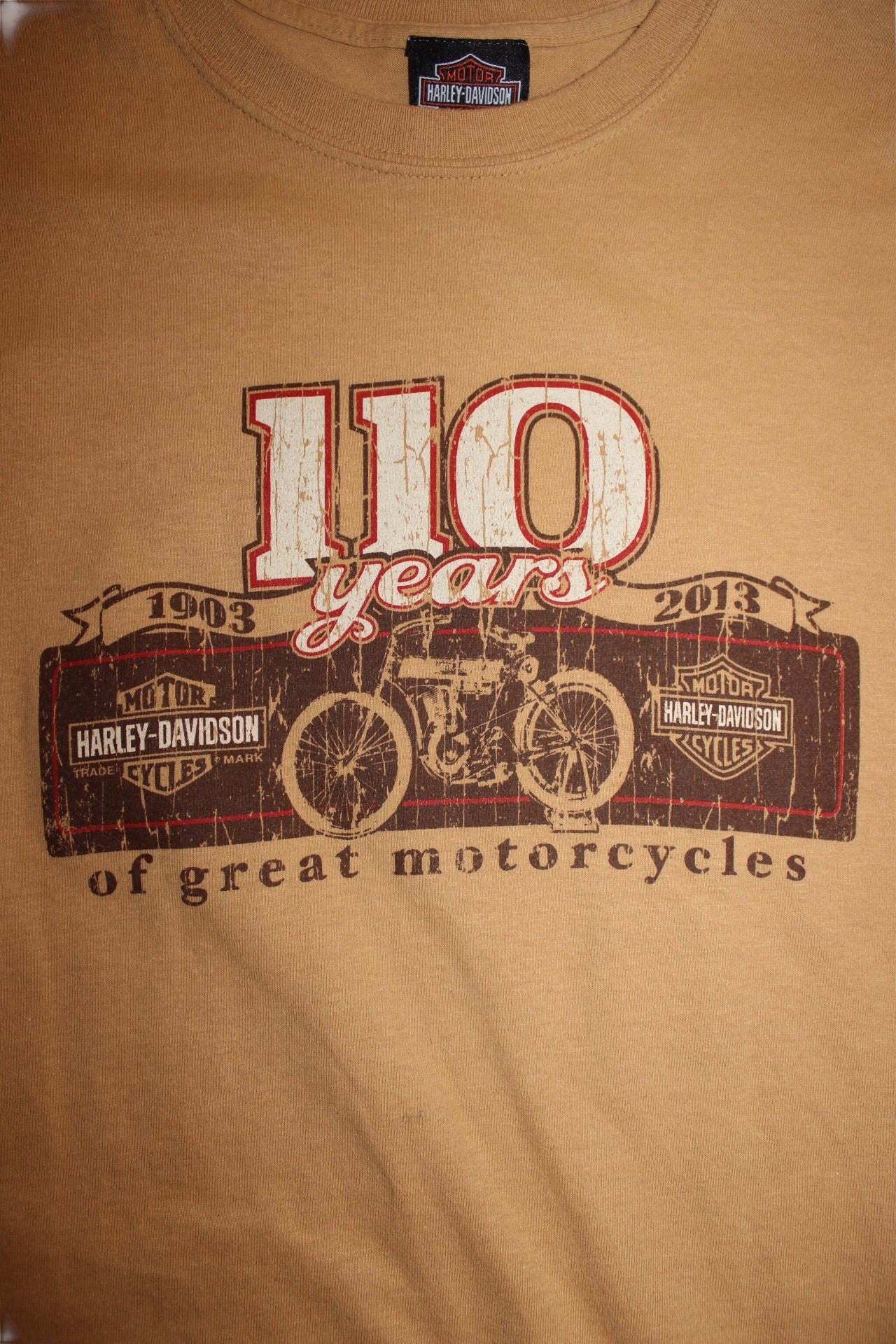 Harley Davidson T Shirt (Size L)