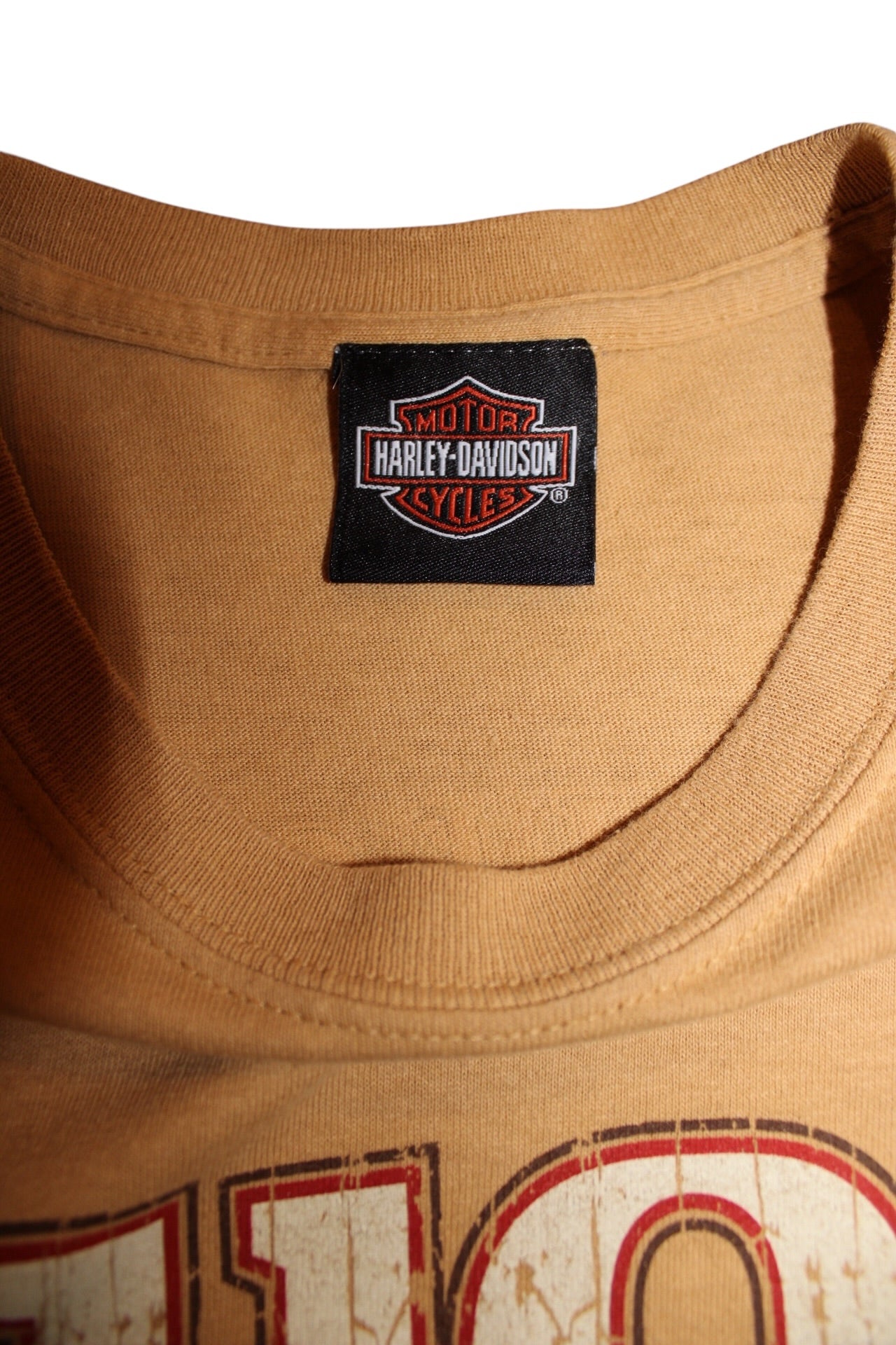 Harley Davidson T Shirt (Size L)