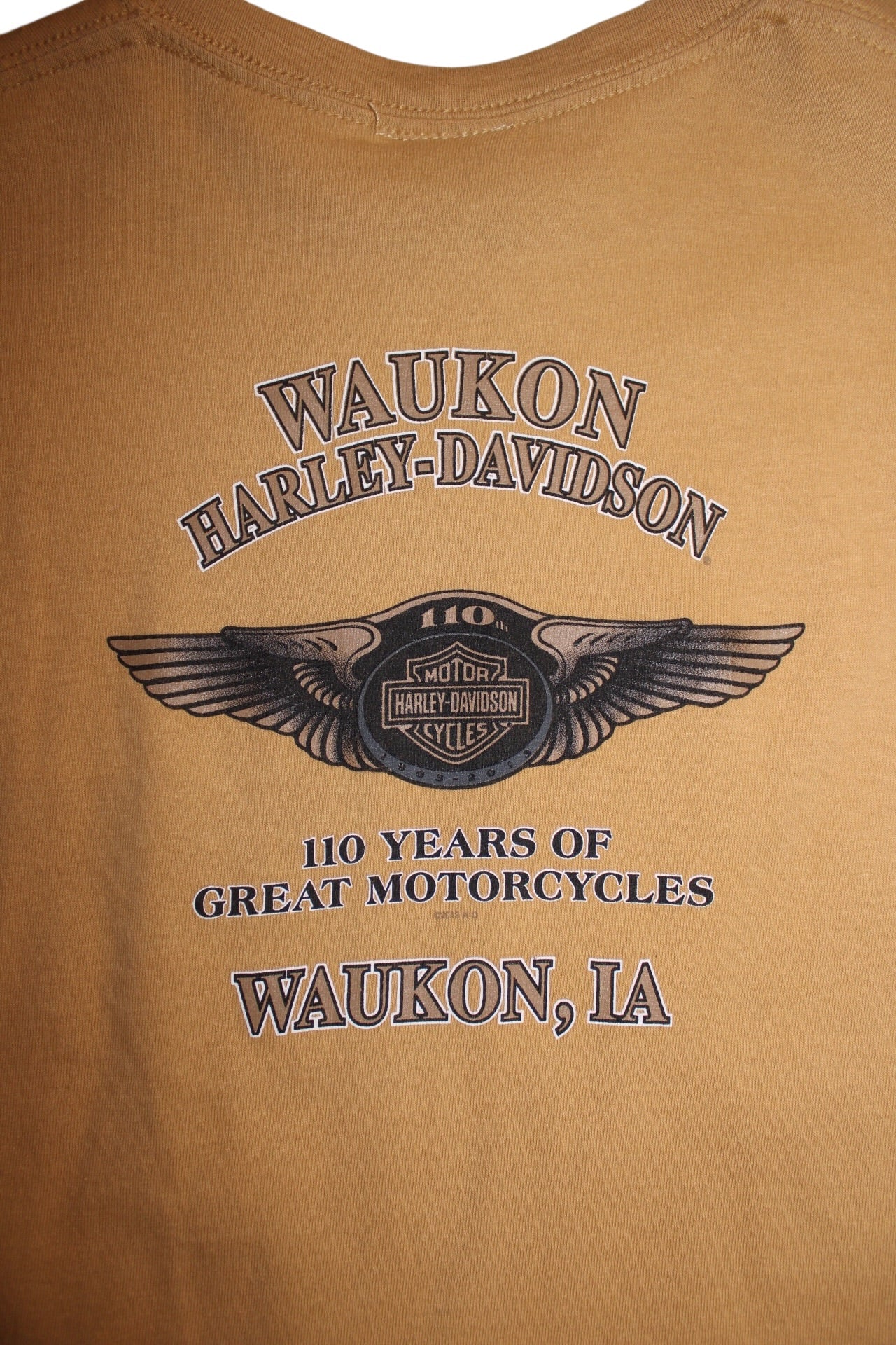 Harley Davidson T Shirt (Size L)