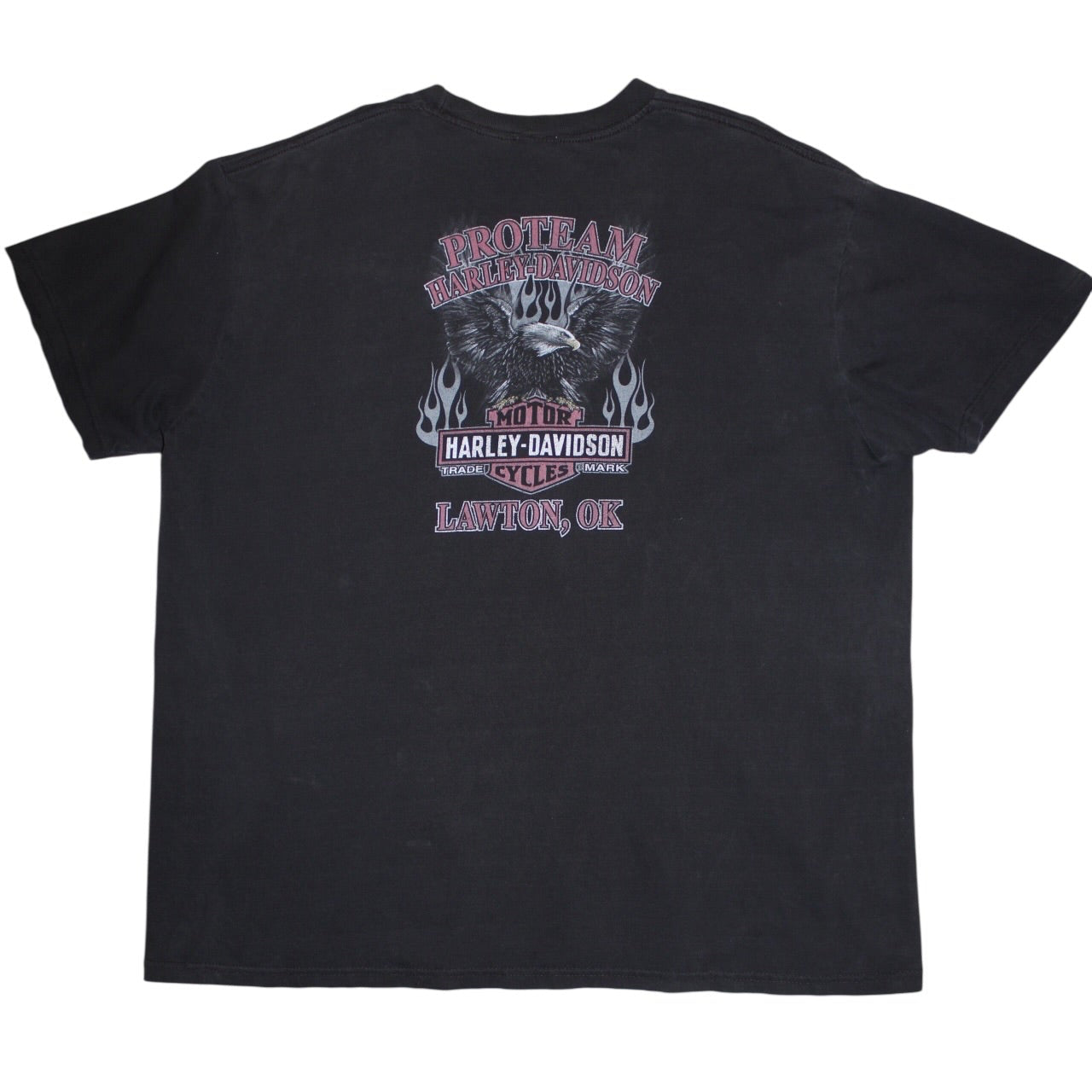 Harley Davidson T Shirt (Size L)