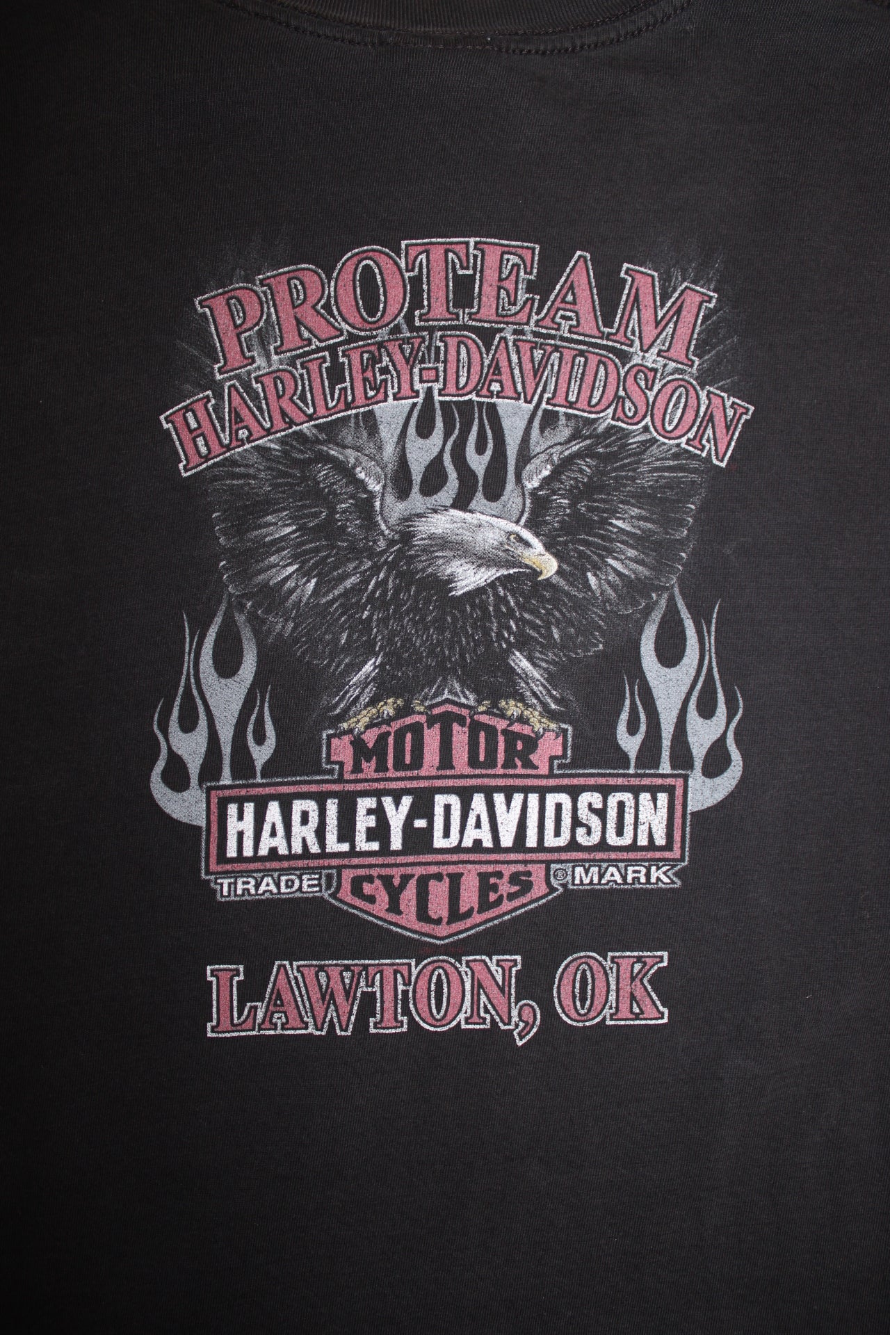 Harley Davidson T Shirt (Size L)