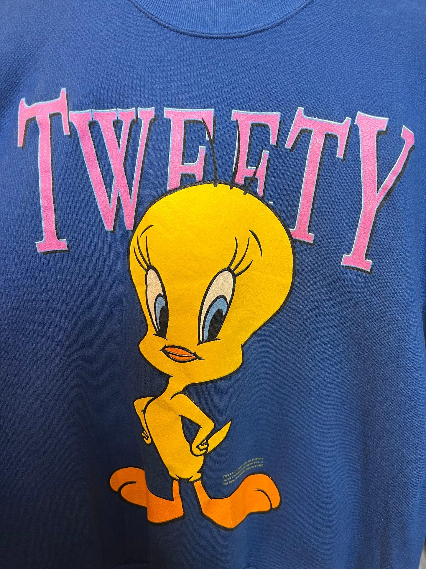 Tweety Blue Mens Sweatshirt (Size XL)