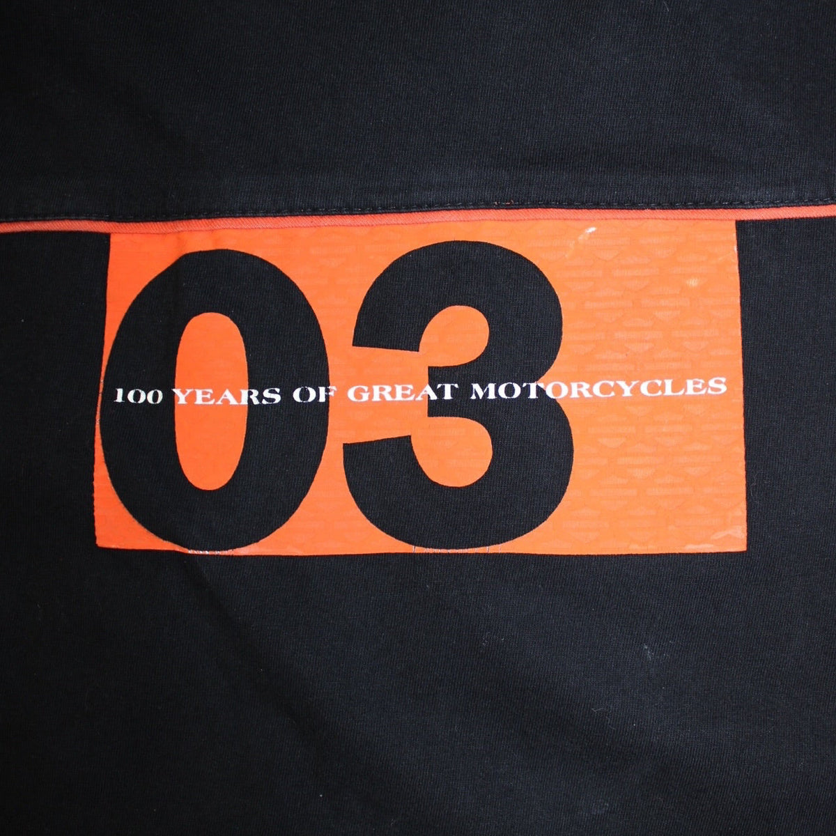 Harley Davidson T Shirt (Size L)