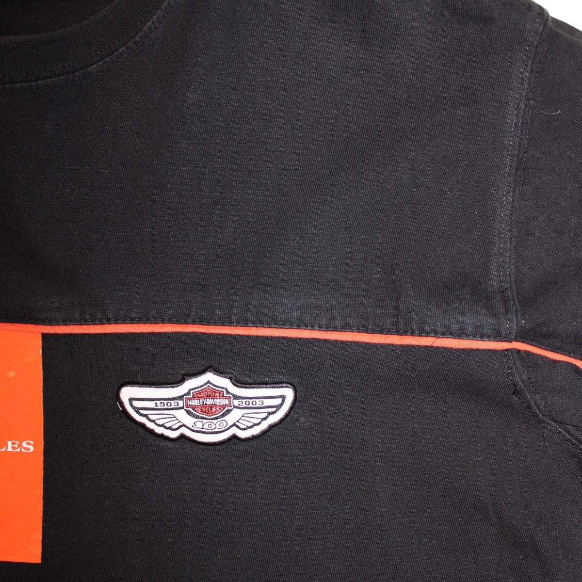 Harley Davidson T Shirt (Size L)