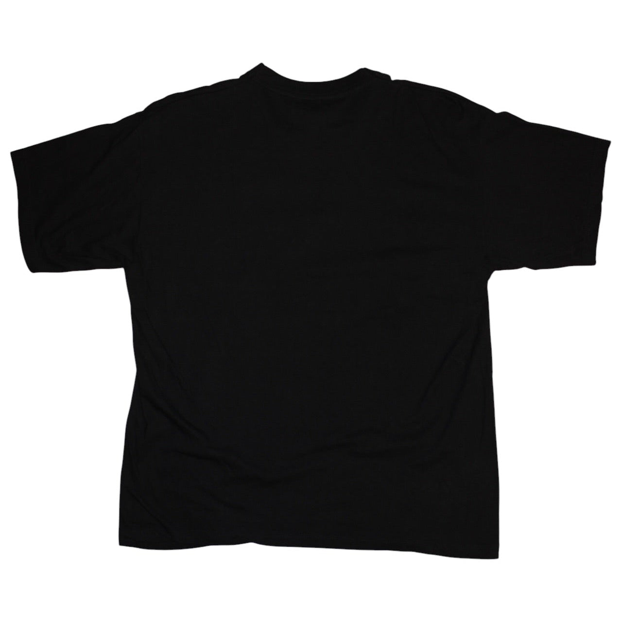 Notre Dam T Shirt (Size XXL)