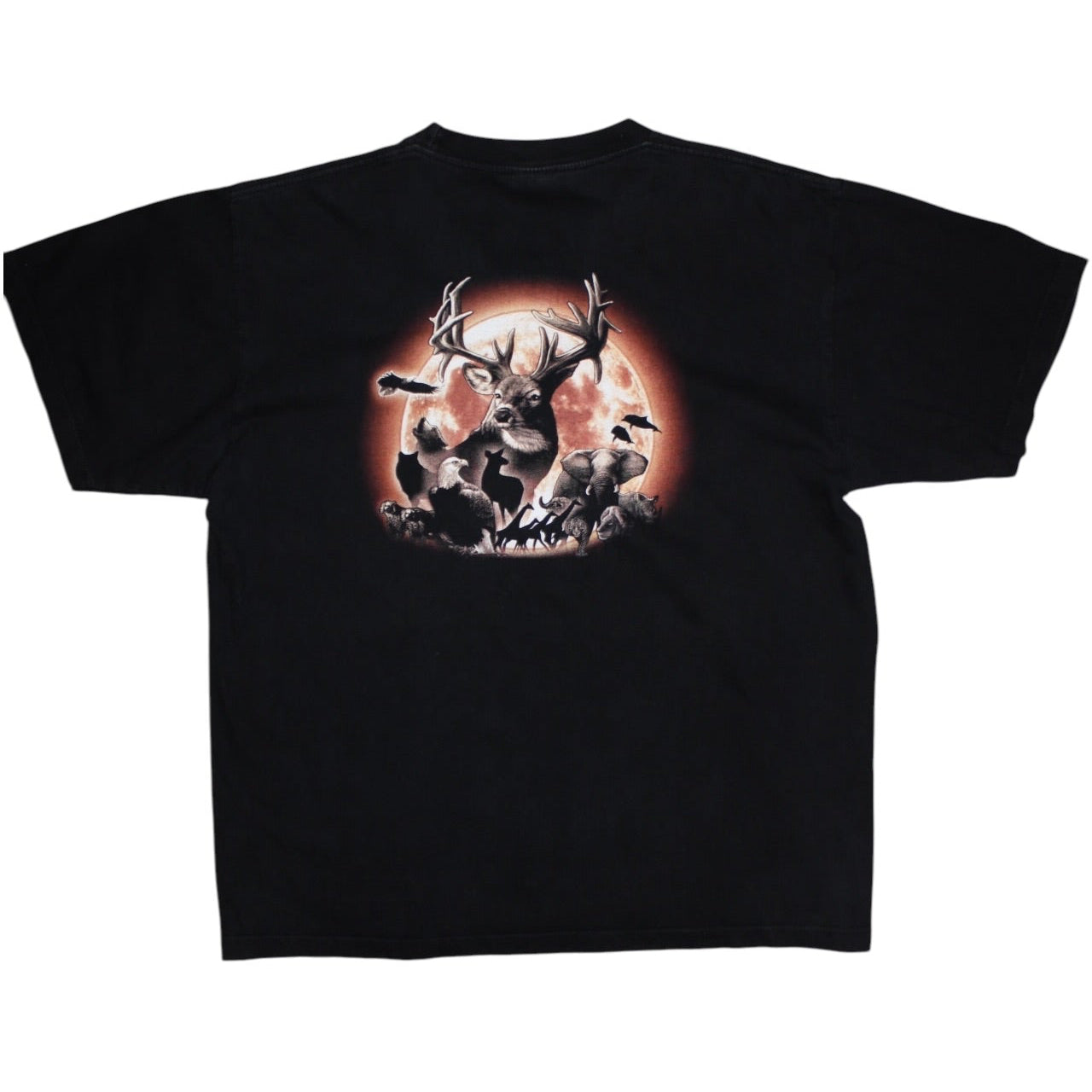 Rock Eagle Animal T Shirt (Size XL)