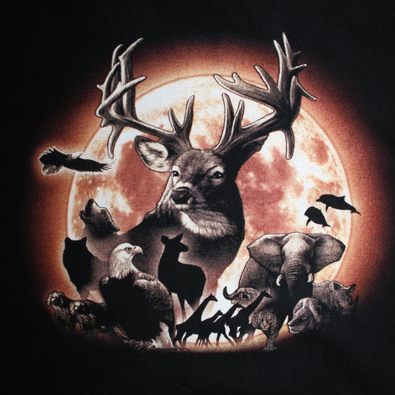 Rock Eagle Animal T Shirt (Size XL)