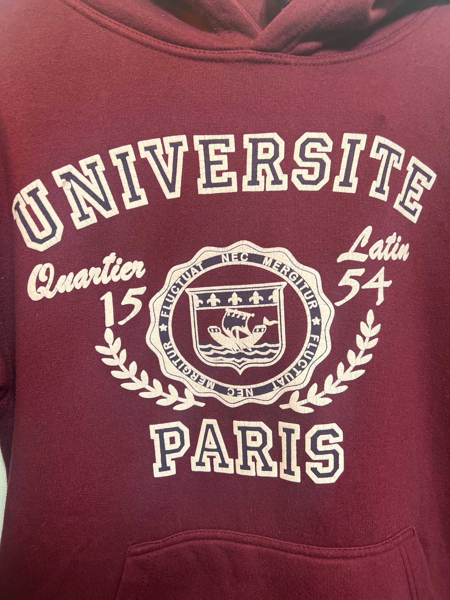 University Of Paris Mens Burgundy Hoodie (Size XL)