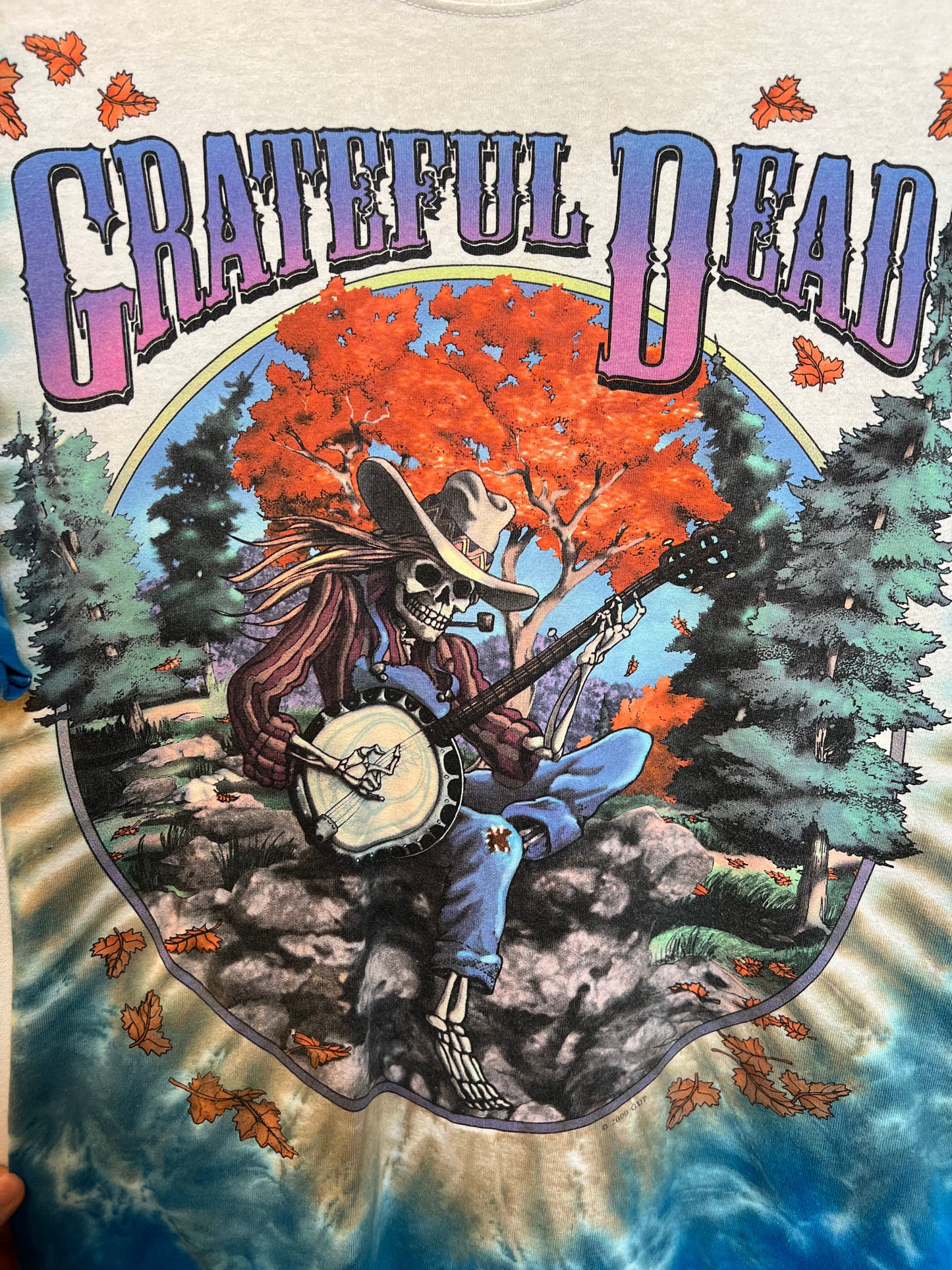 Grateful Dead Mens T Shirt (Size L)