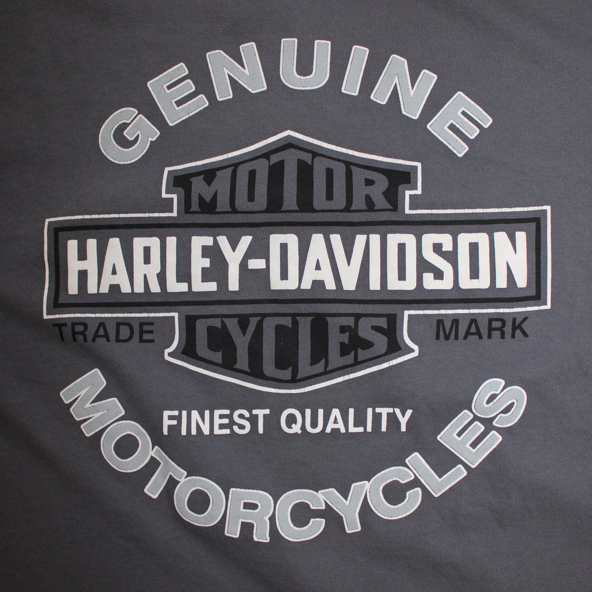 Harley Davidson T Shirt (Size XL)