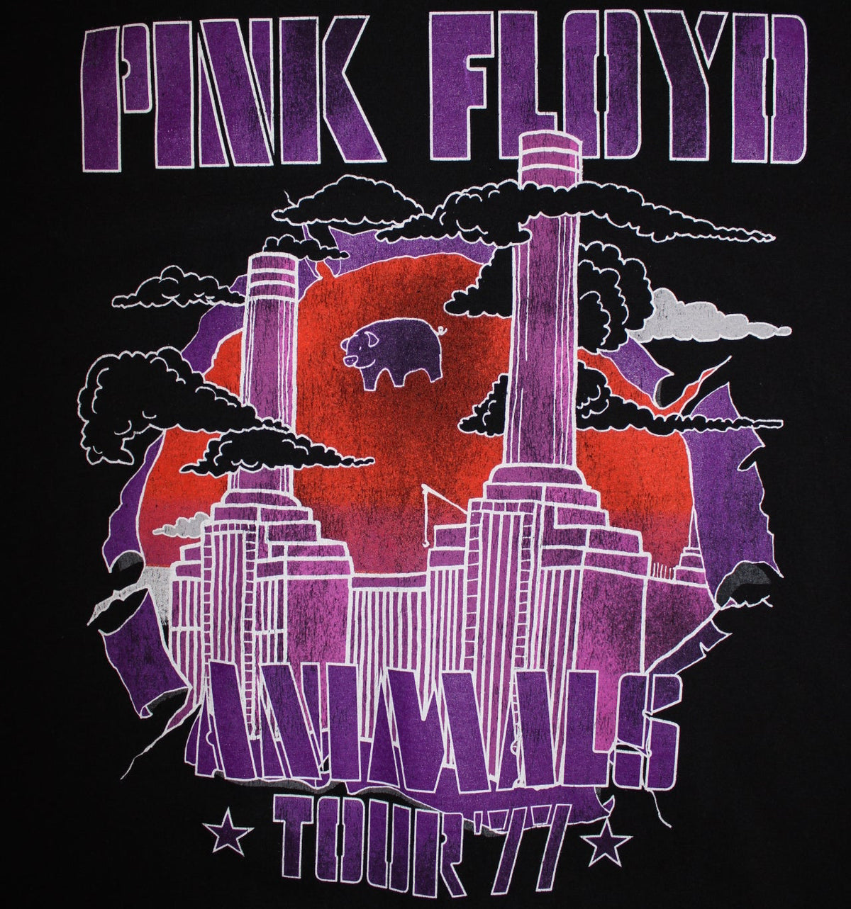 Pink Floyd T Shirt (Size M)