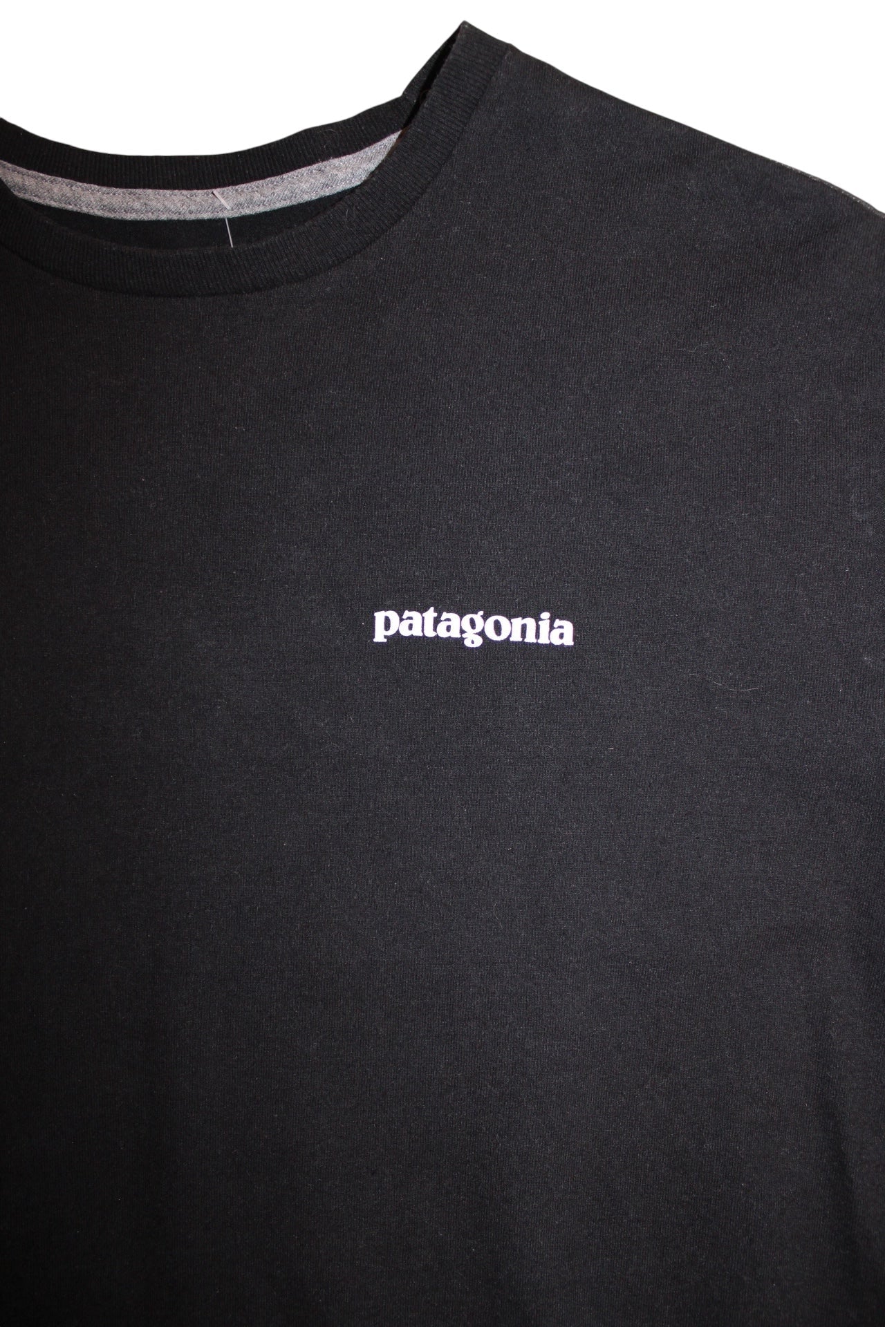 Patagonia Mens Graphic T Shirt (Size L)