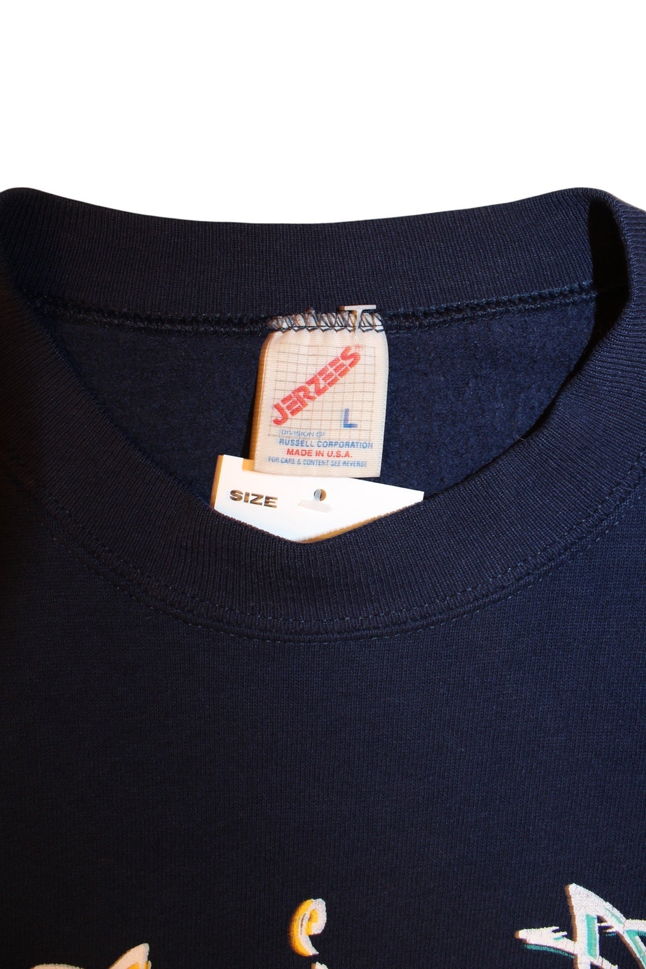 Washington D.C Mens Purple Sweatshirt (Size L)