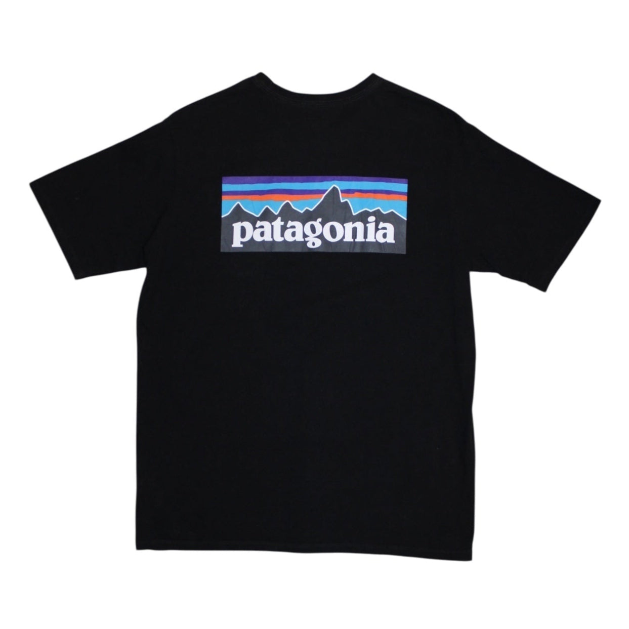 Patagonia Mens Graphic T Shirt (Size L)