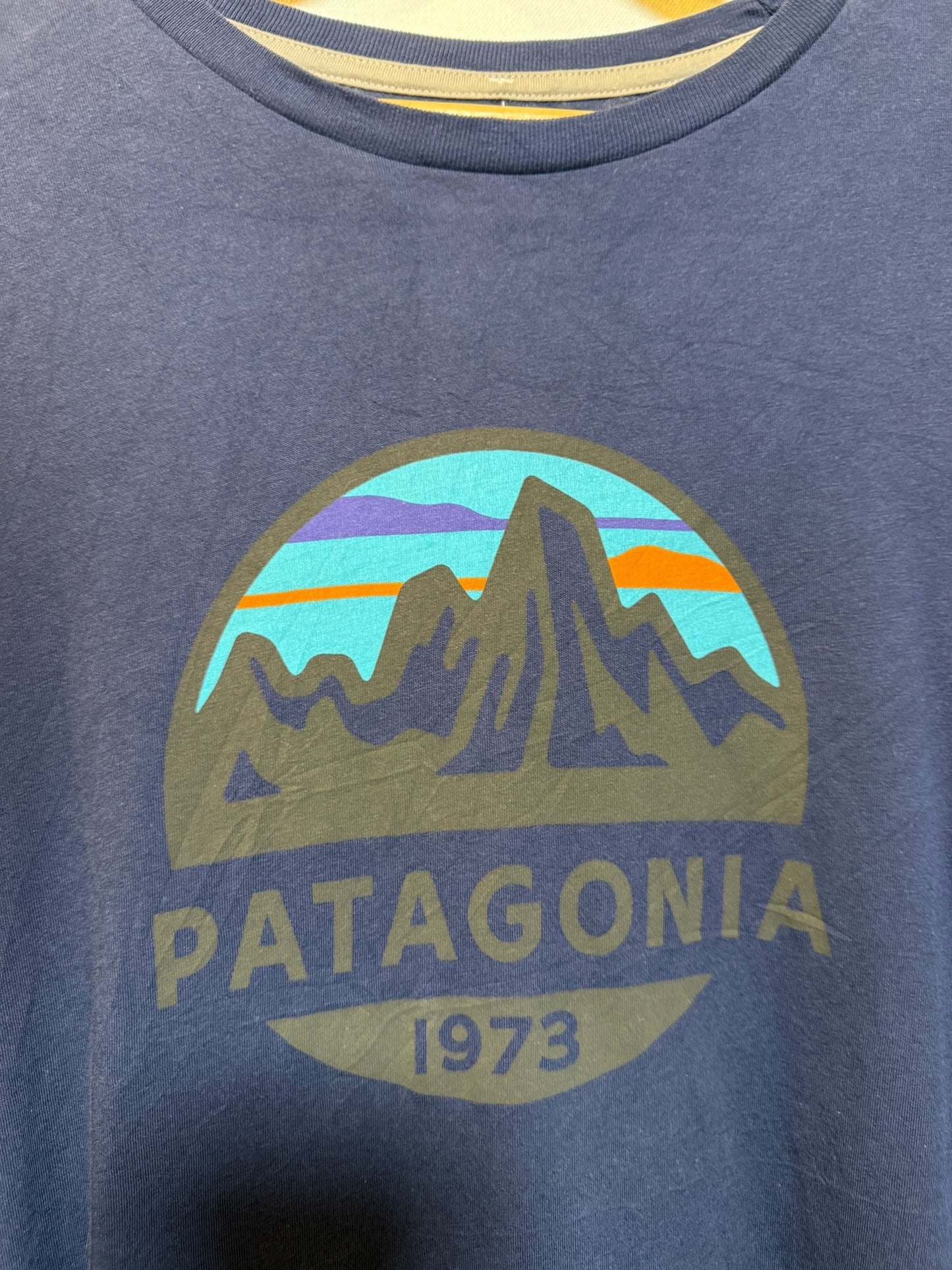 Patagonia Mens Blue T Shirt (Size XL)