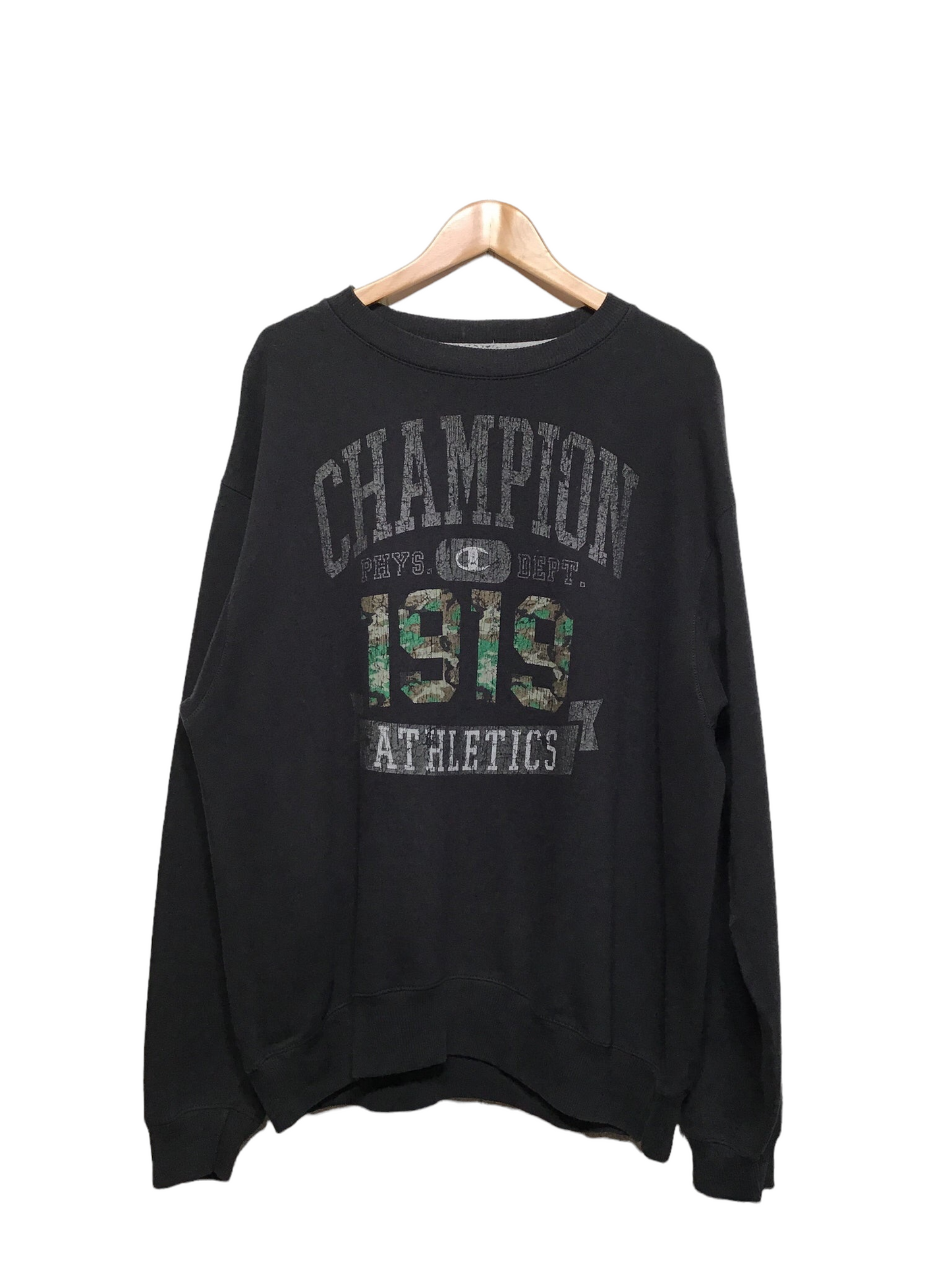 Champion Sweatshirt (Size L)